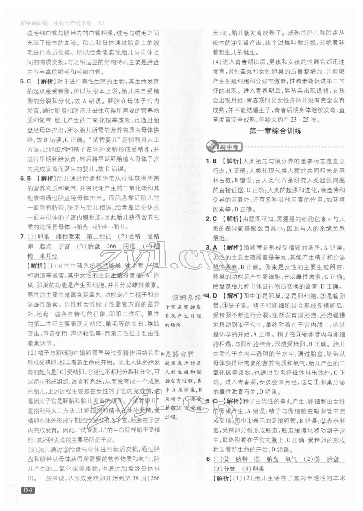 2022年初中必刷題七年級(jí)生物下冊(cè)人教版 參考答案第4頁(yè)