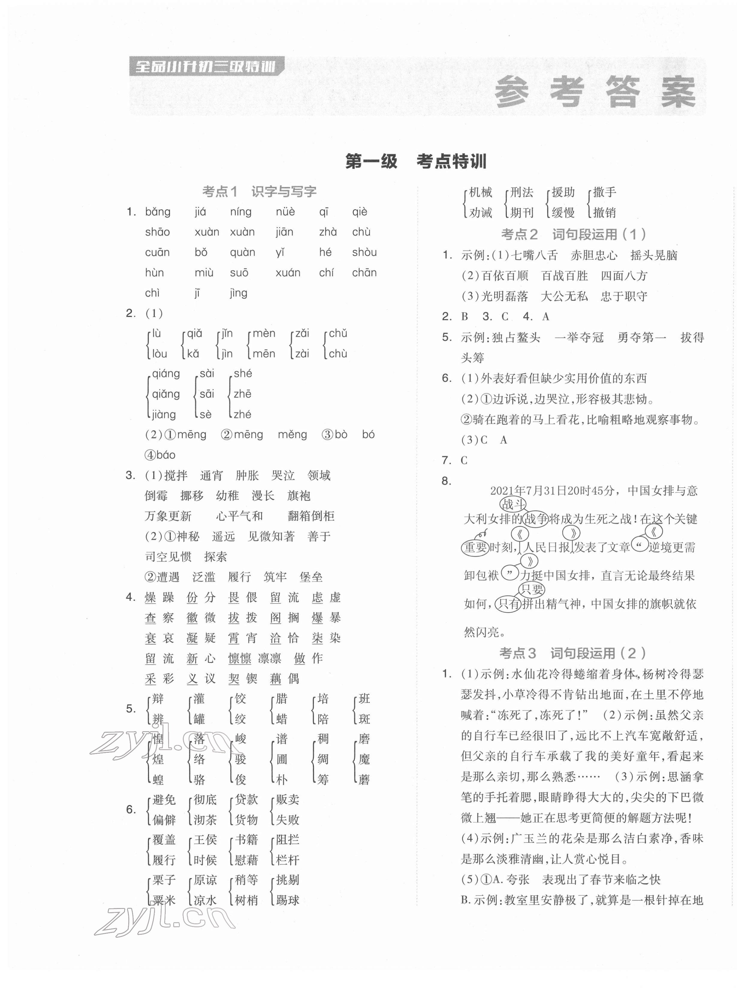 2022年全品小升初三級(jí)特訓(xùn)語(yǔ)文 第1頁(yè)