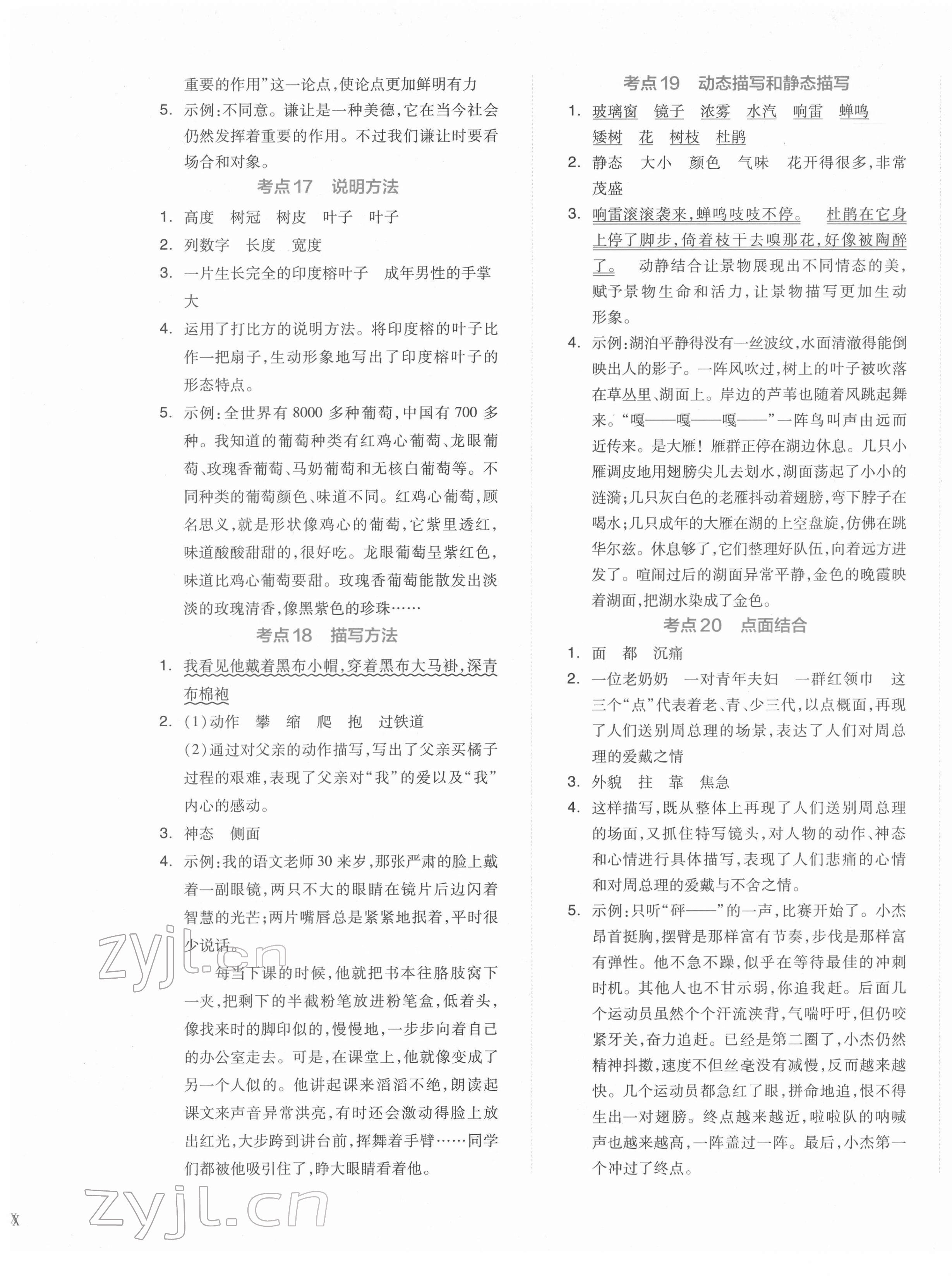 2022年全品小升初三級(jí)特訓(xùn)語文 第5頁