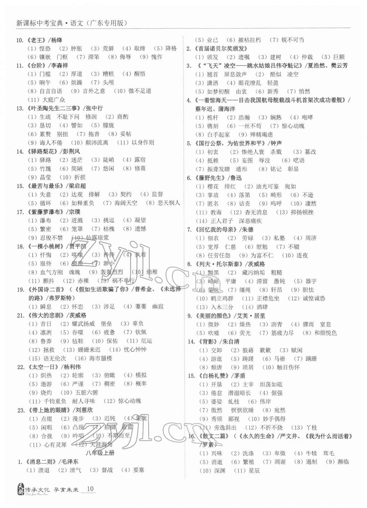 2022年新課標中考寶典語文廣東專版 第10頁