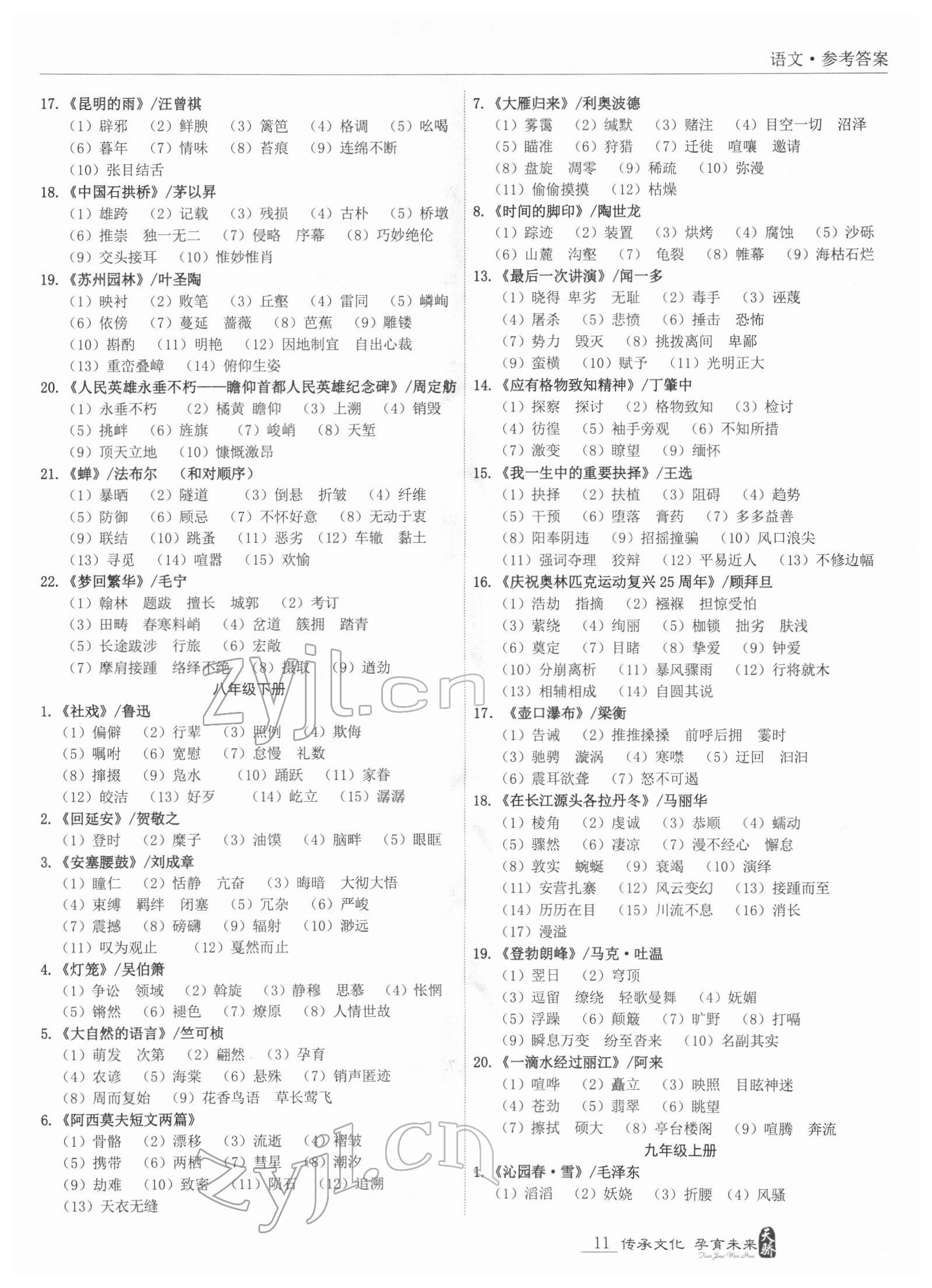 2022年新课标中考宝典语文广东专版 第11页