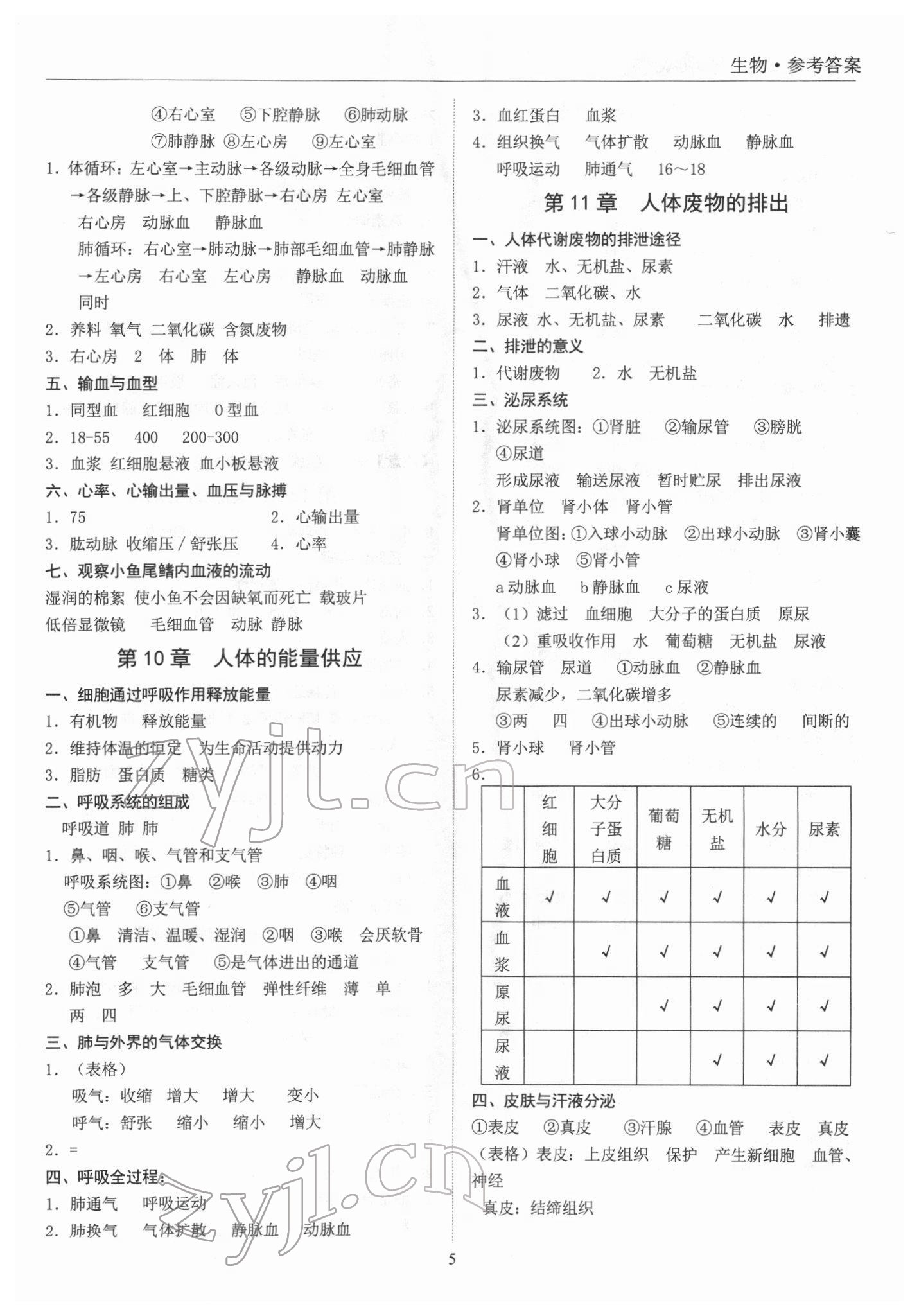 2022年新课标中考宝典生物广东专用版 参考答案第5页