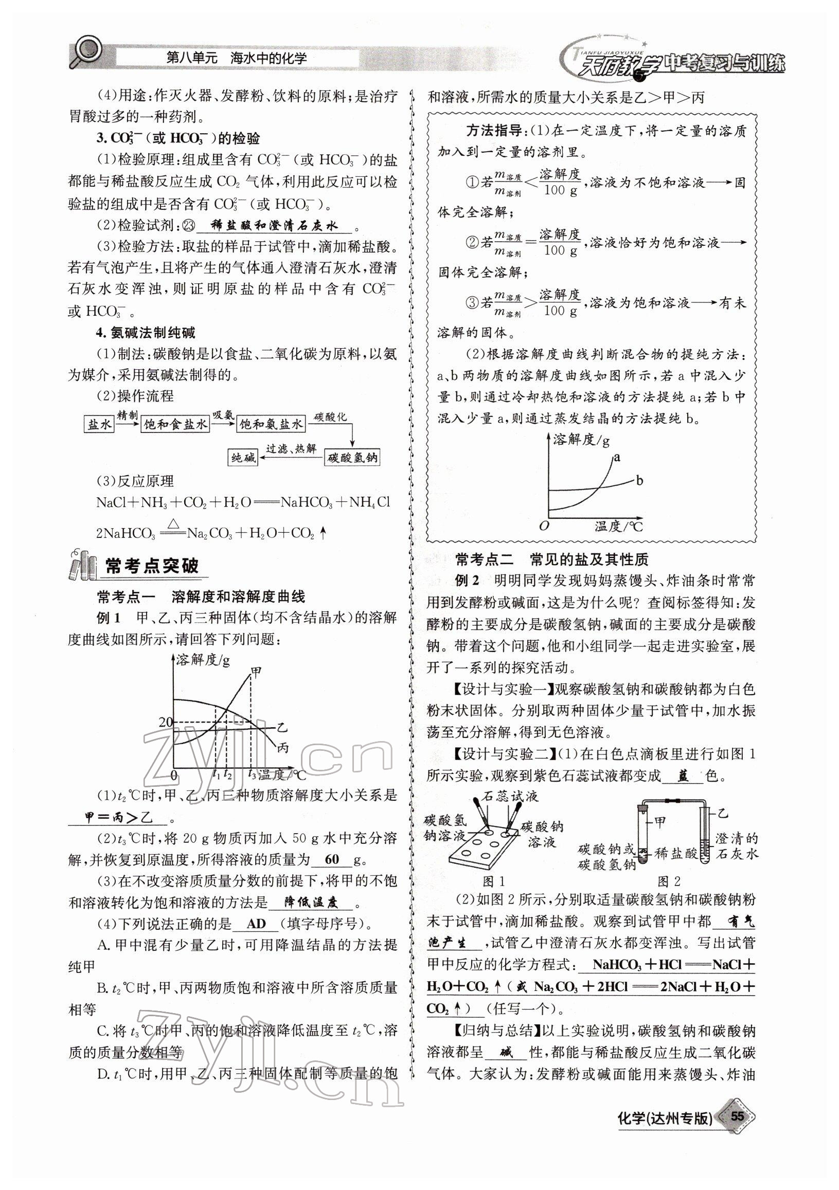 2022年天府教與學(xué)中考復(fù)習(xí)與訓(xùn)練化學(xué)達州專版 參考答案第55頁