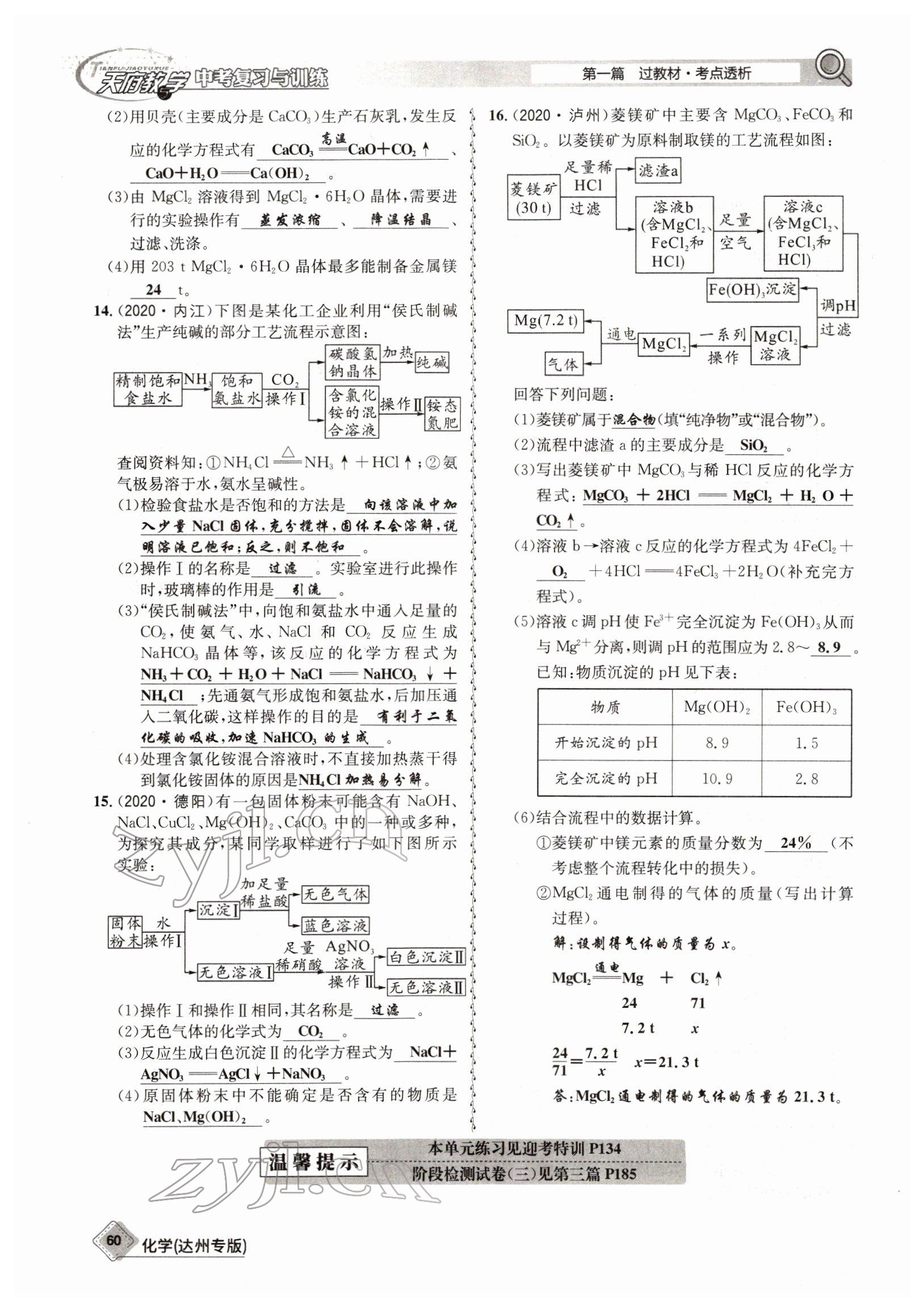 2022年天府教與學(xué)中考復(fù)習(xí)與訓(xùn)練化學(xué)達(dá)州專(zhuān)版 參考答案第60頁(yè)