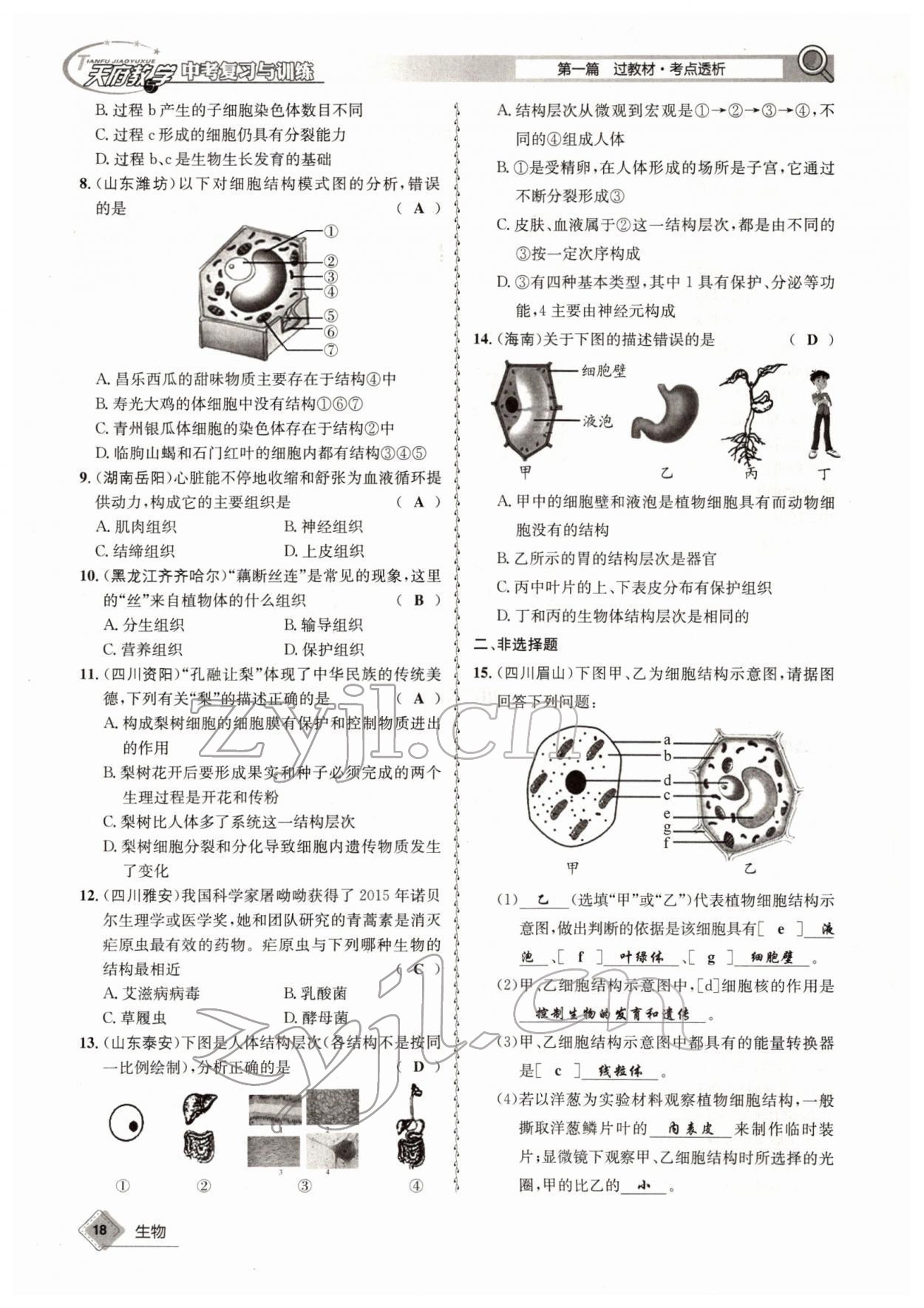 2022年天府教与学中考复习与训练生物四川专版 参考答案第18页