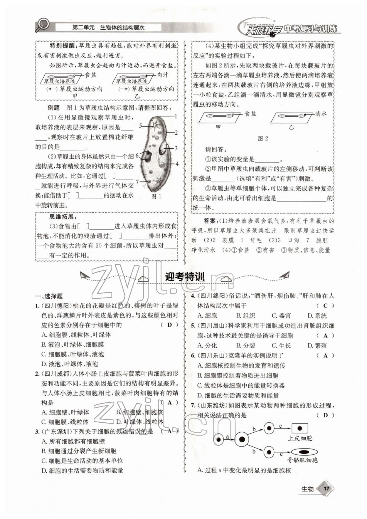 2022年天府教與學(xué)中考復(fù)習(xí)與訓(xùn)練生物四川專版 參考答案第17頁