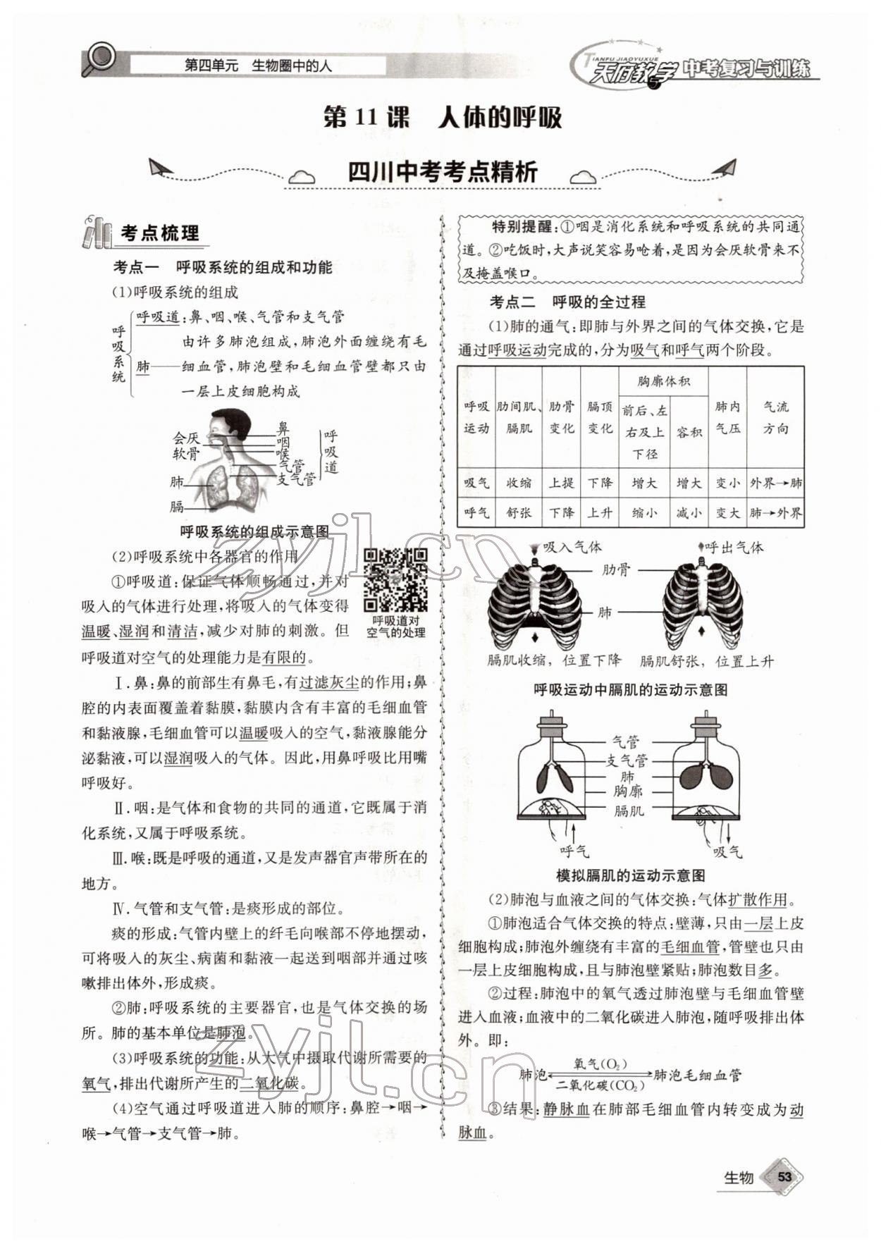 2022年天府教与学中考复习与训练生物四川专版 参考答案第53页