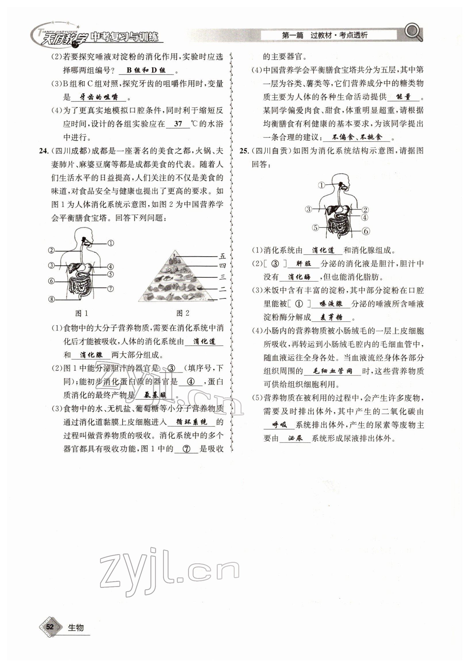 2022年天府教与学中考复习与训练生物四川专版 参考答案第52页