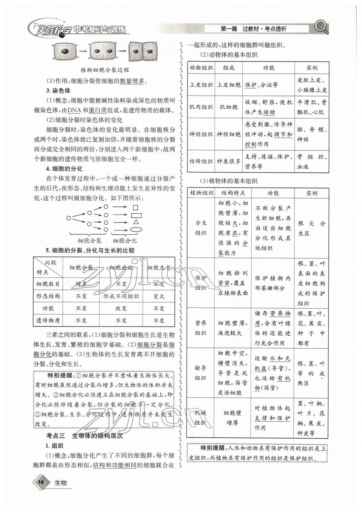 2022年天府教与学中考复习与训练生物四川专版 参考答案第14页