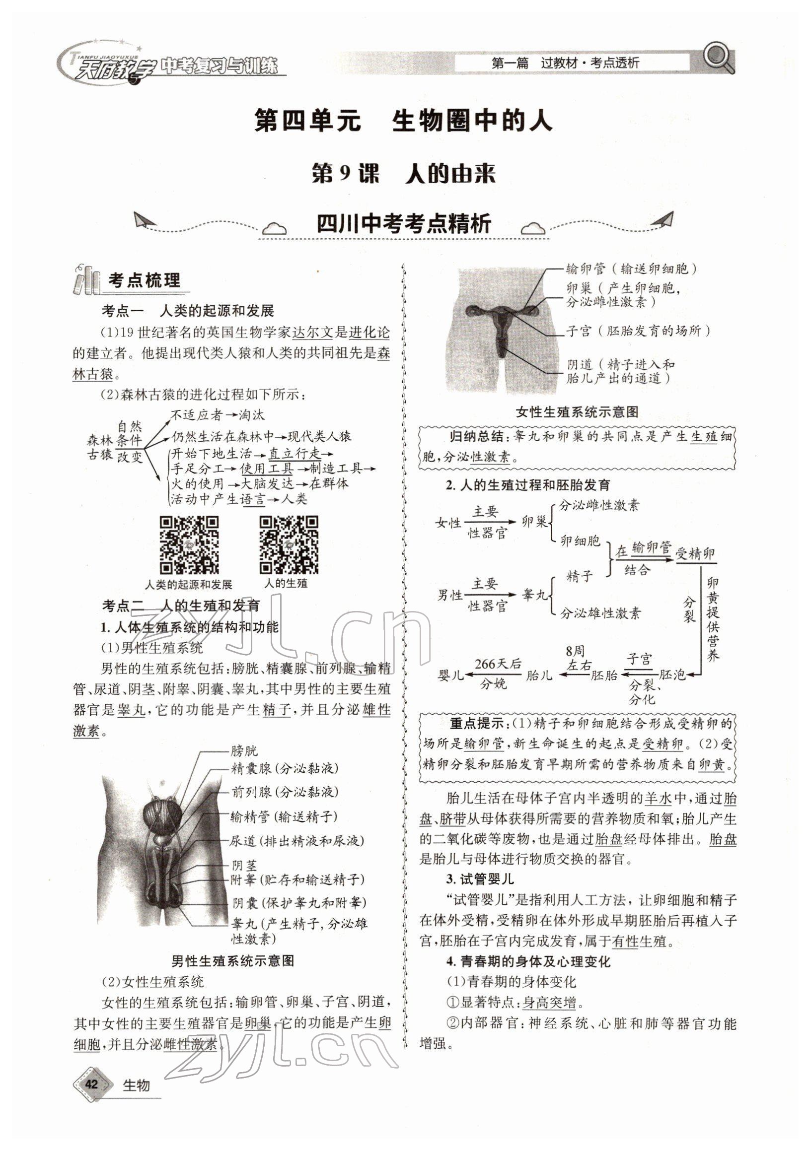 2022年天府教與學中考復習與訓練生物四川專版 參考答案第42頁