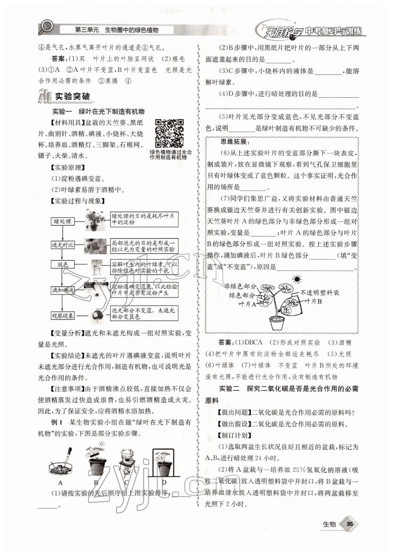 2022年天府教與學(xué)中考復(fù)習(xí)與訓(xùn)練生物四川專版 參考答案第35頁