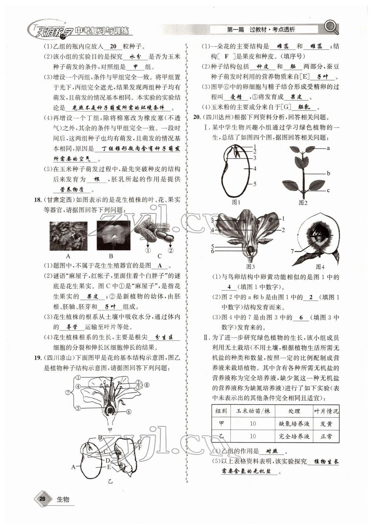 2022年天府教与学中考复习与训练生物四川专版 参考答案第28页