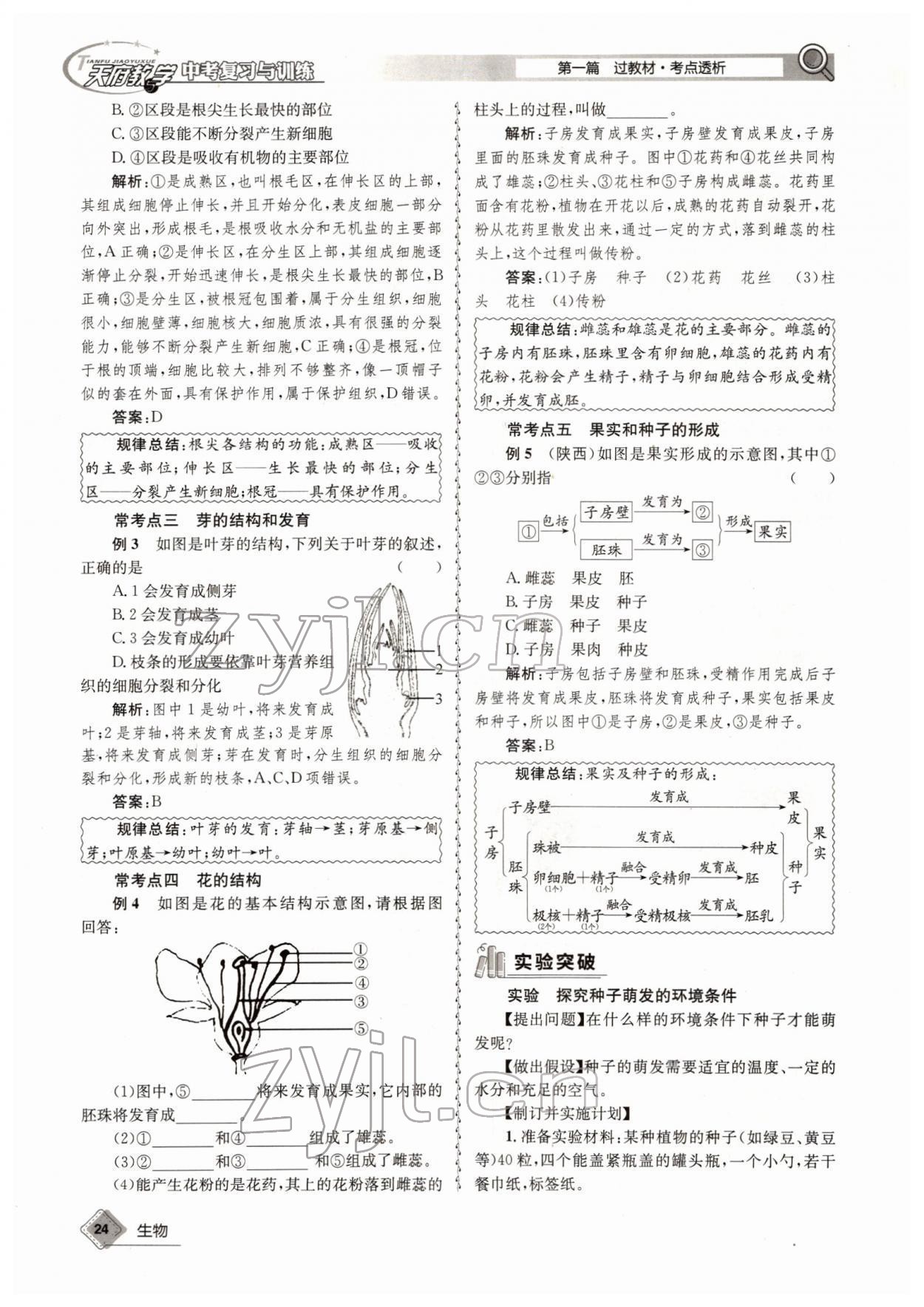 2022年天府教與學(xué)中考復(fù)習(xí)與訓(xùn)練生物四川專版 參考答案第24頁