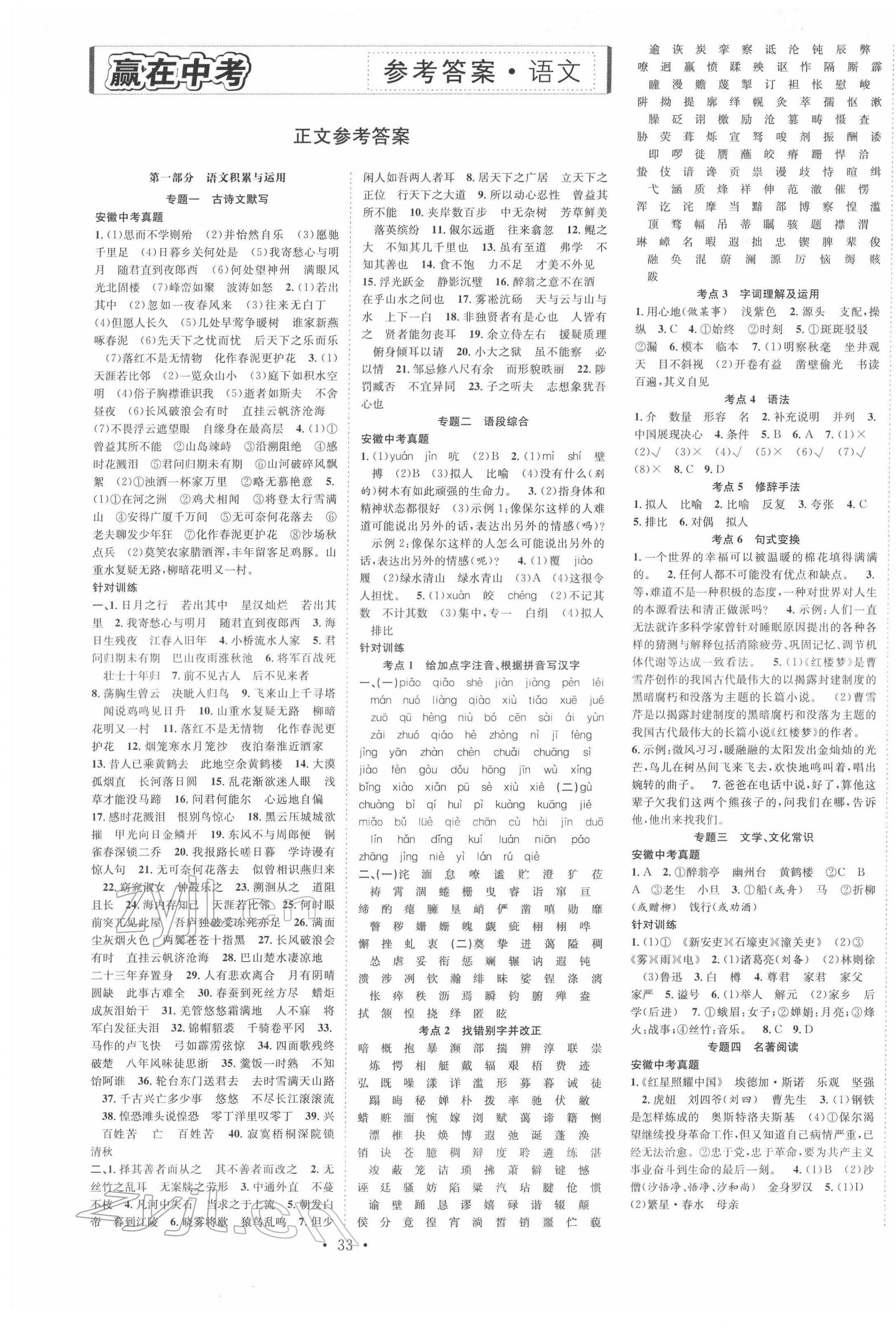 2022年贏在中考搶分王語文安徽中考 第1頁