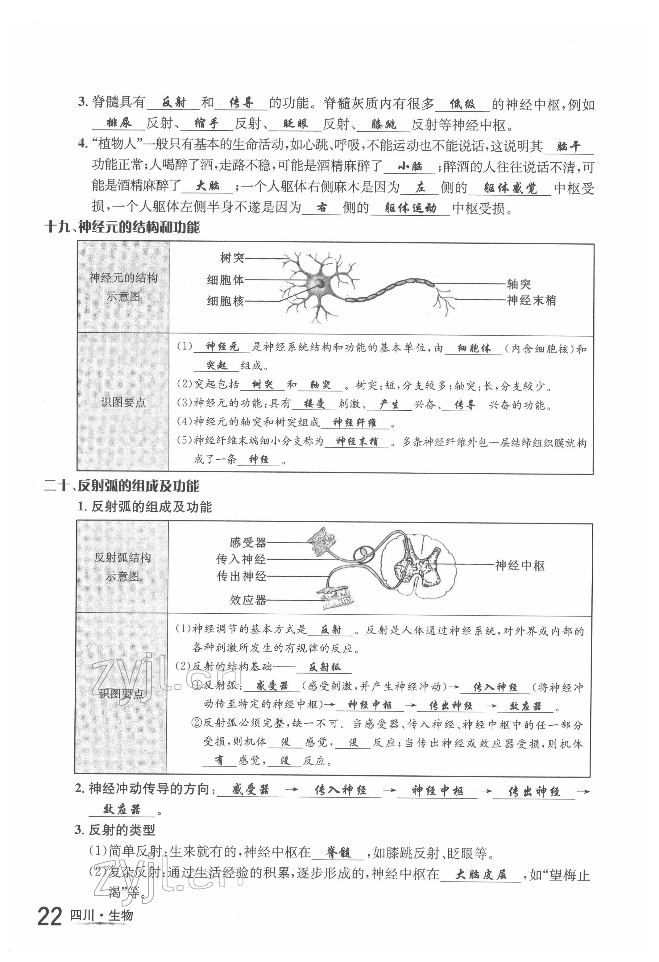 2022年中考2號(hào)生物四川專版 第22頁