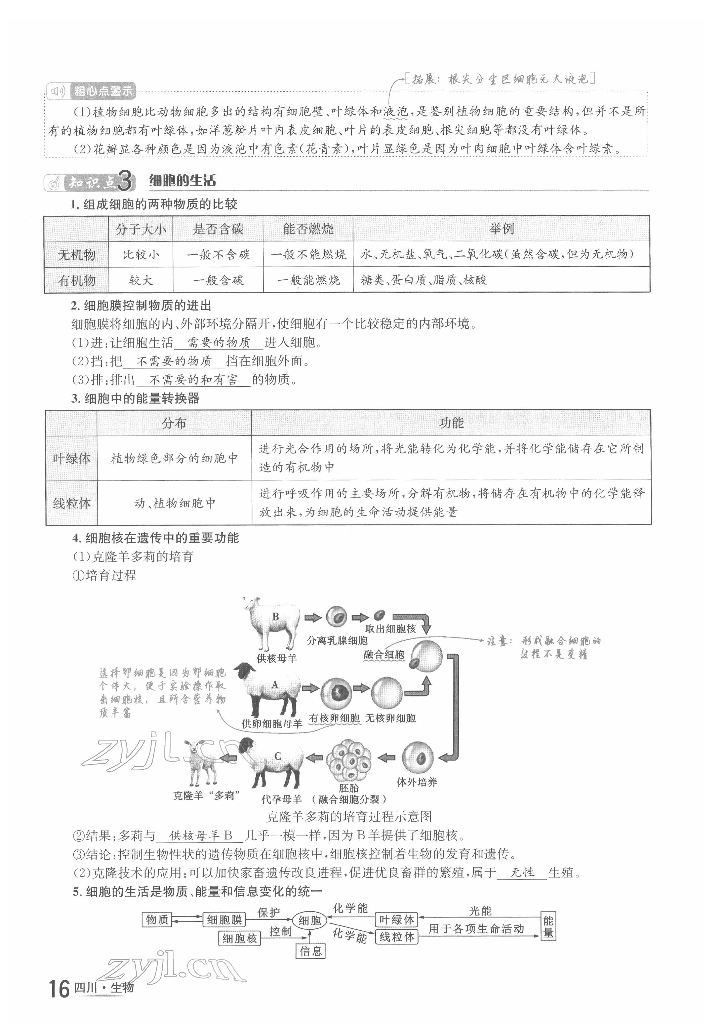 2022年中考2号生物四川专版 参考答案第27页