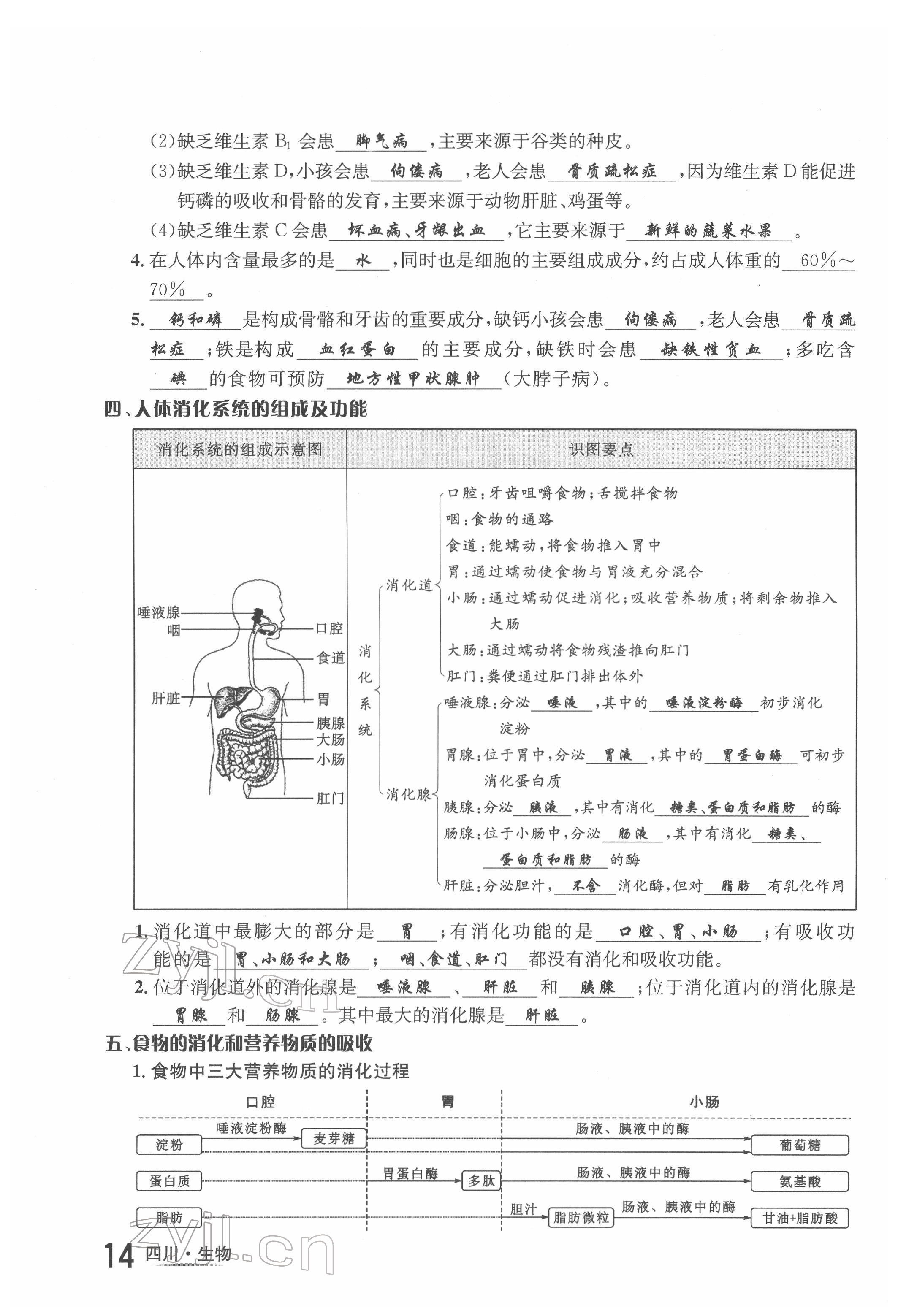 2022年中考2号生物四川专版 第14页