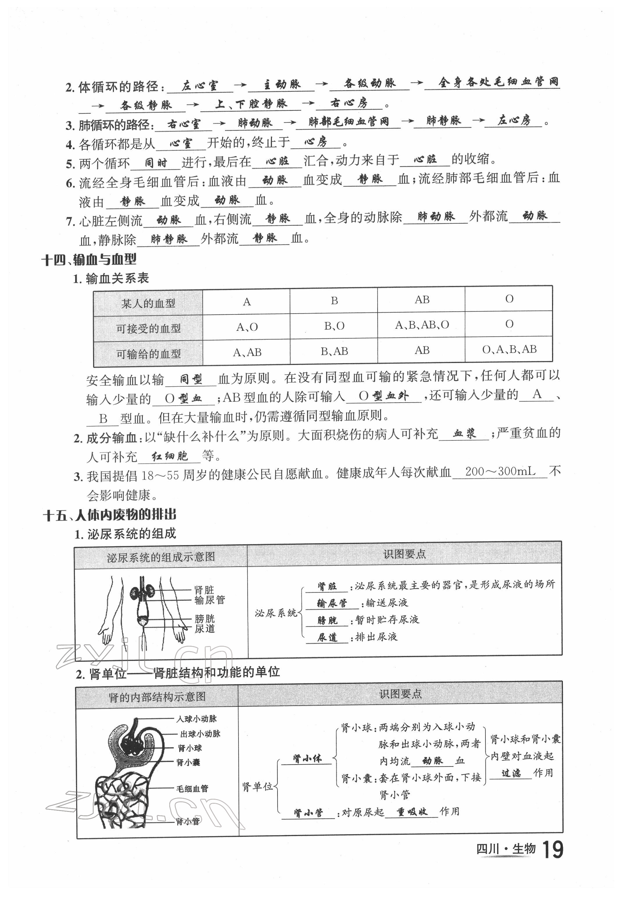 2022年中考2号生物四川专版 第19页