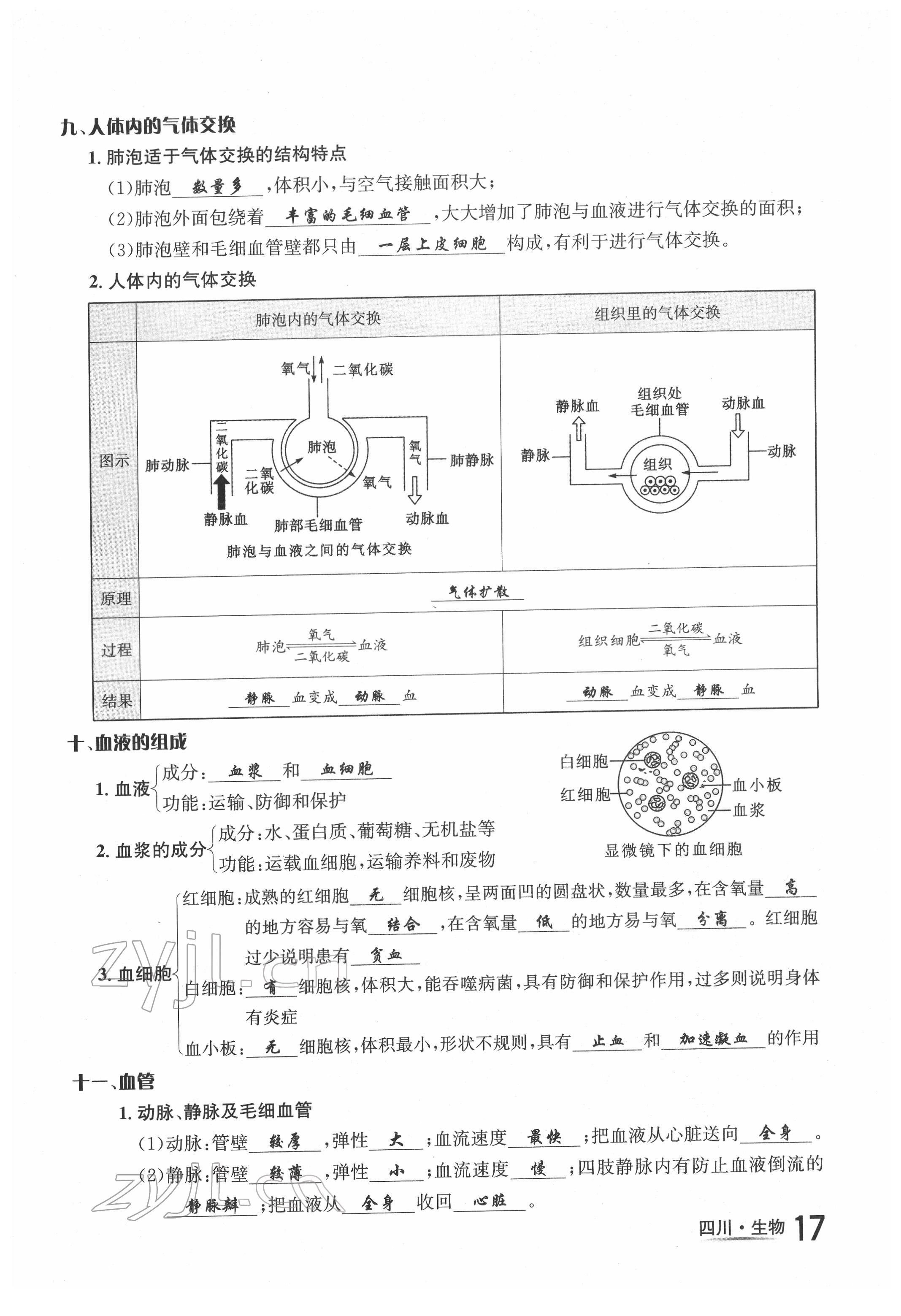 2022年中考2號生物四川專版 第17頁