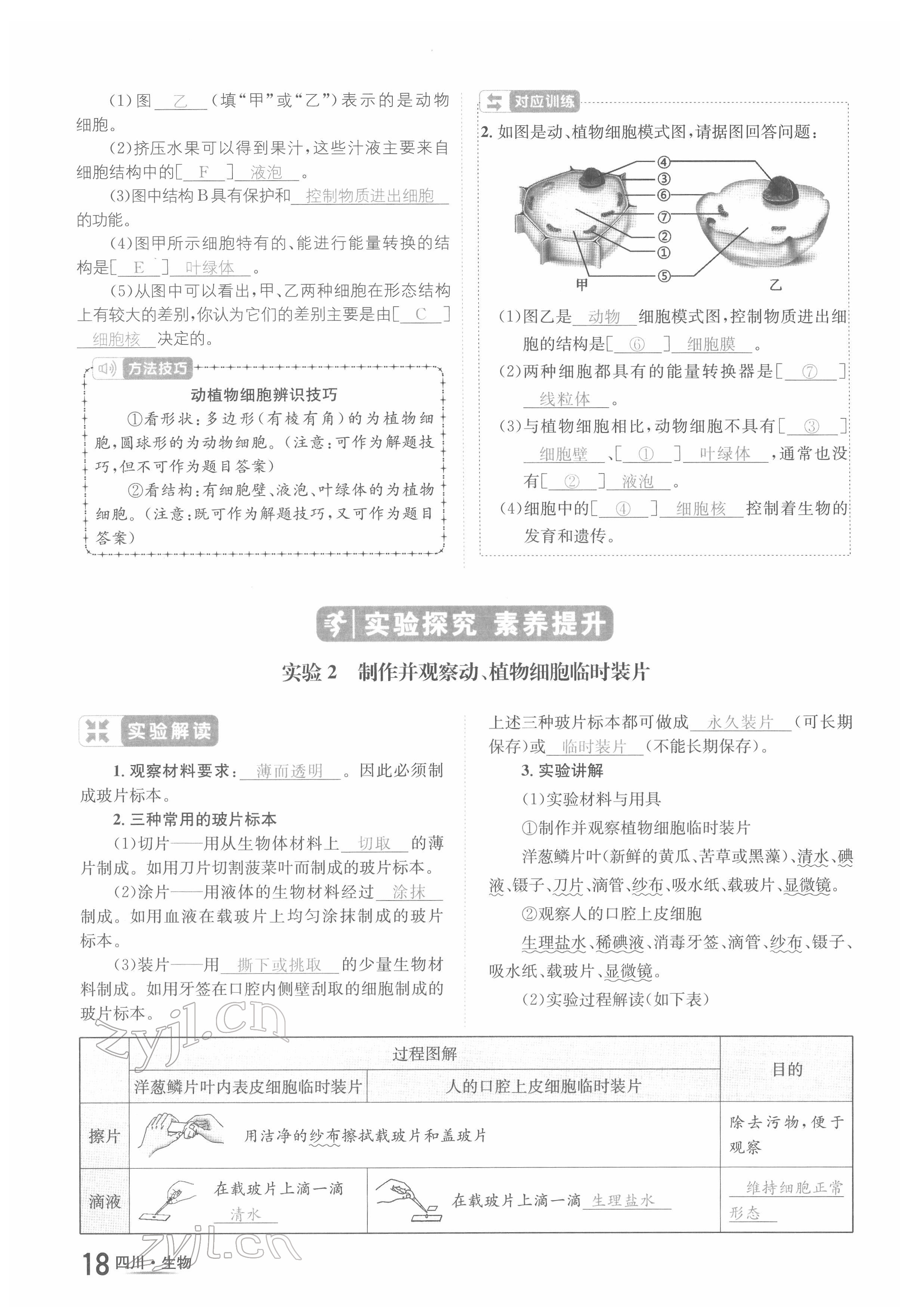 2022年中考2號(hào)生物四川專版 參考答案第31頁(yè)