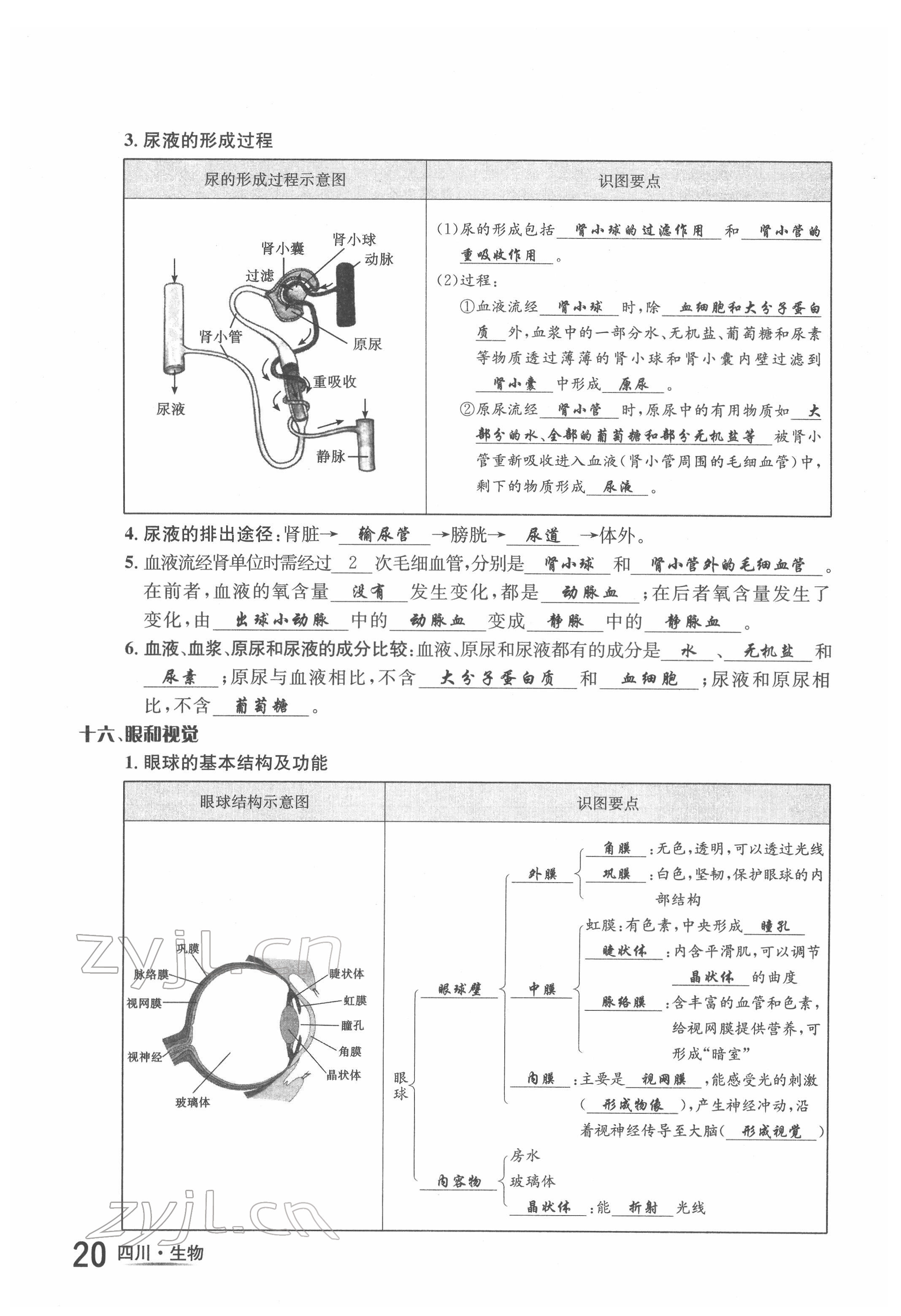 2022年中考2號(hào)生物四川專版 第20頁