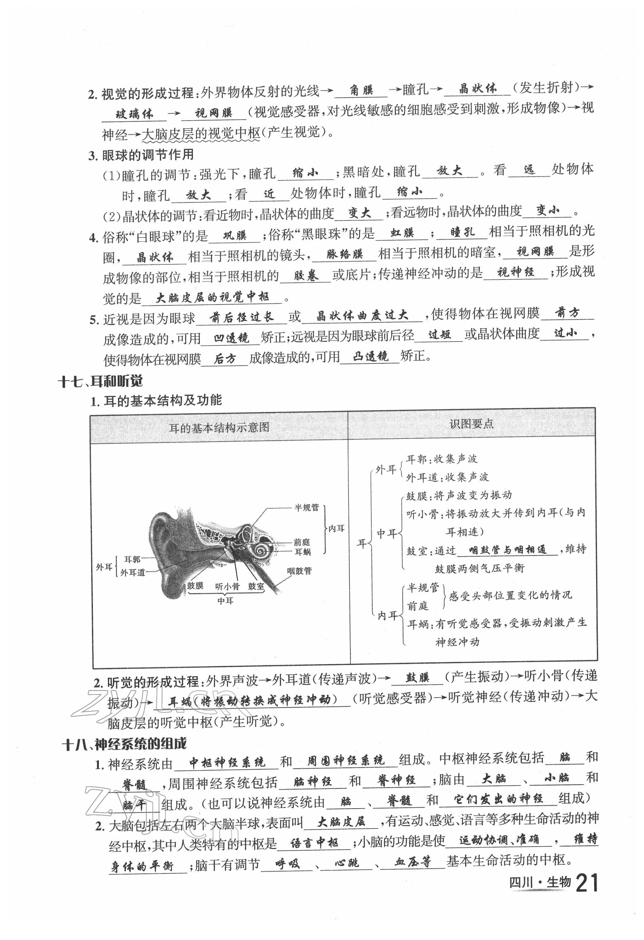 2022年中考2号生物四川专版 第21页