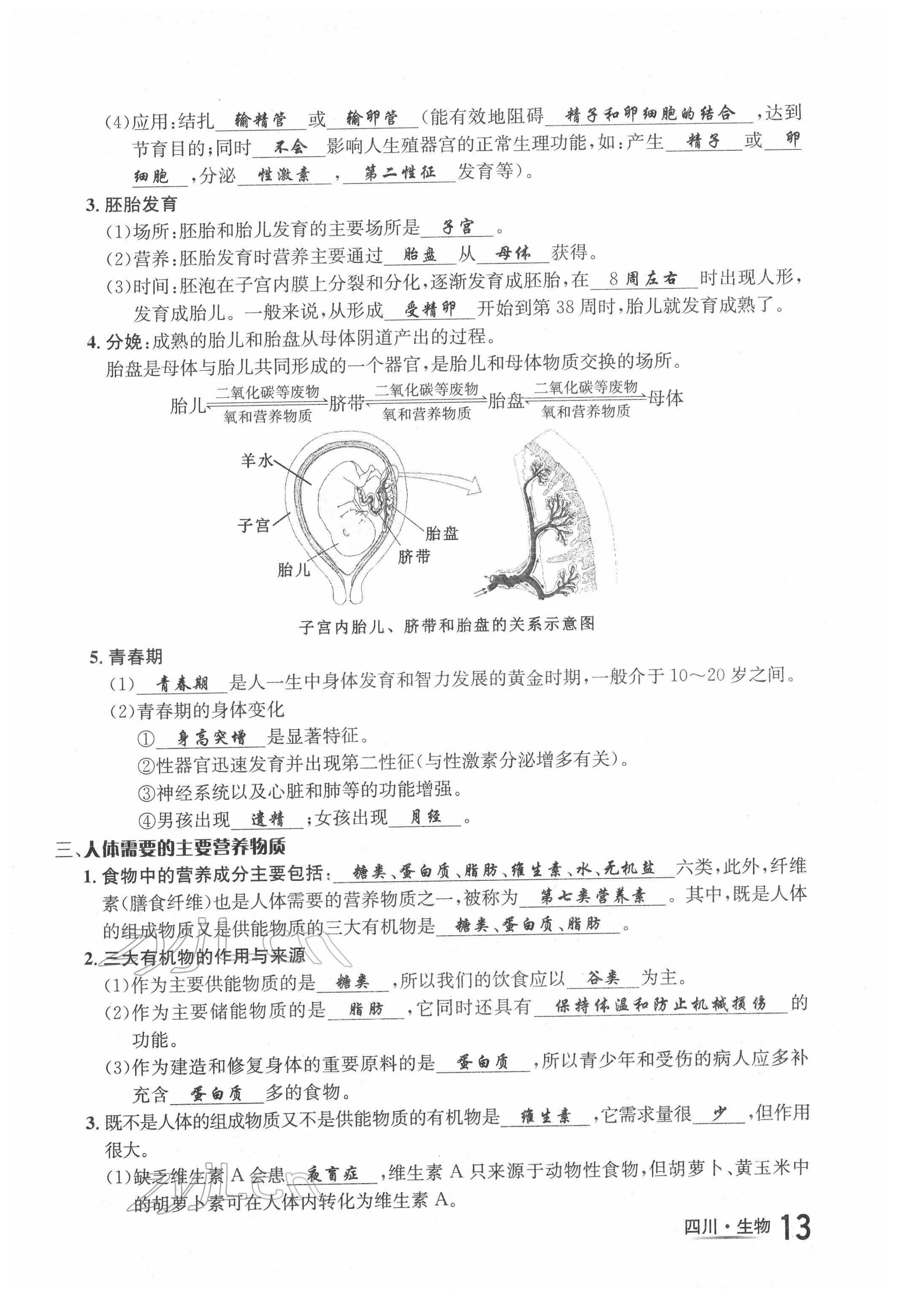 2022年中考2号生物四川专版 第13页