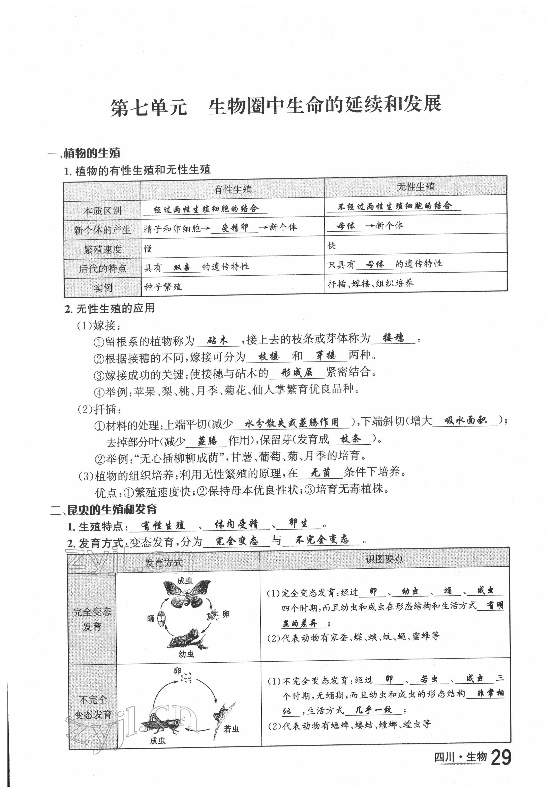 2022年中考2号生物四川专版 第29页