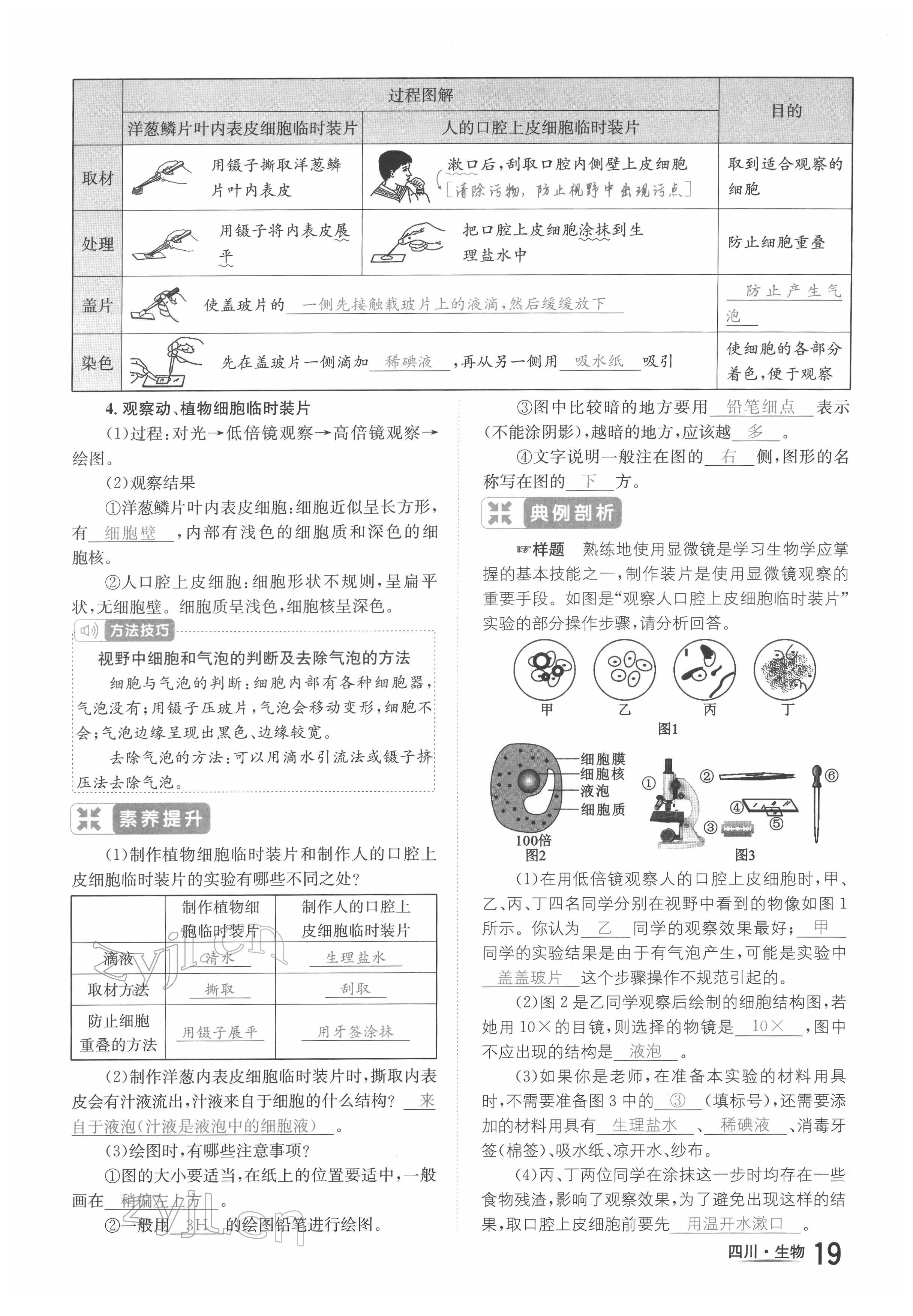 2022年中考2号生物四川专版 参考答案第33页