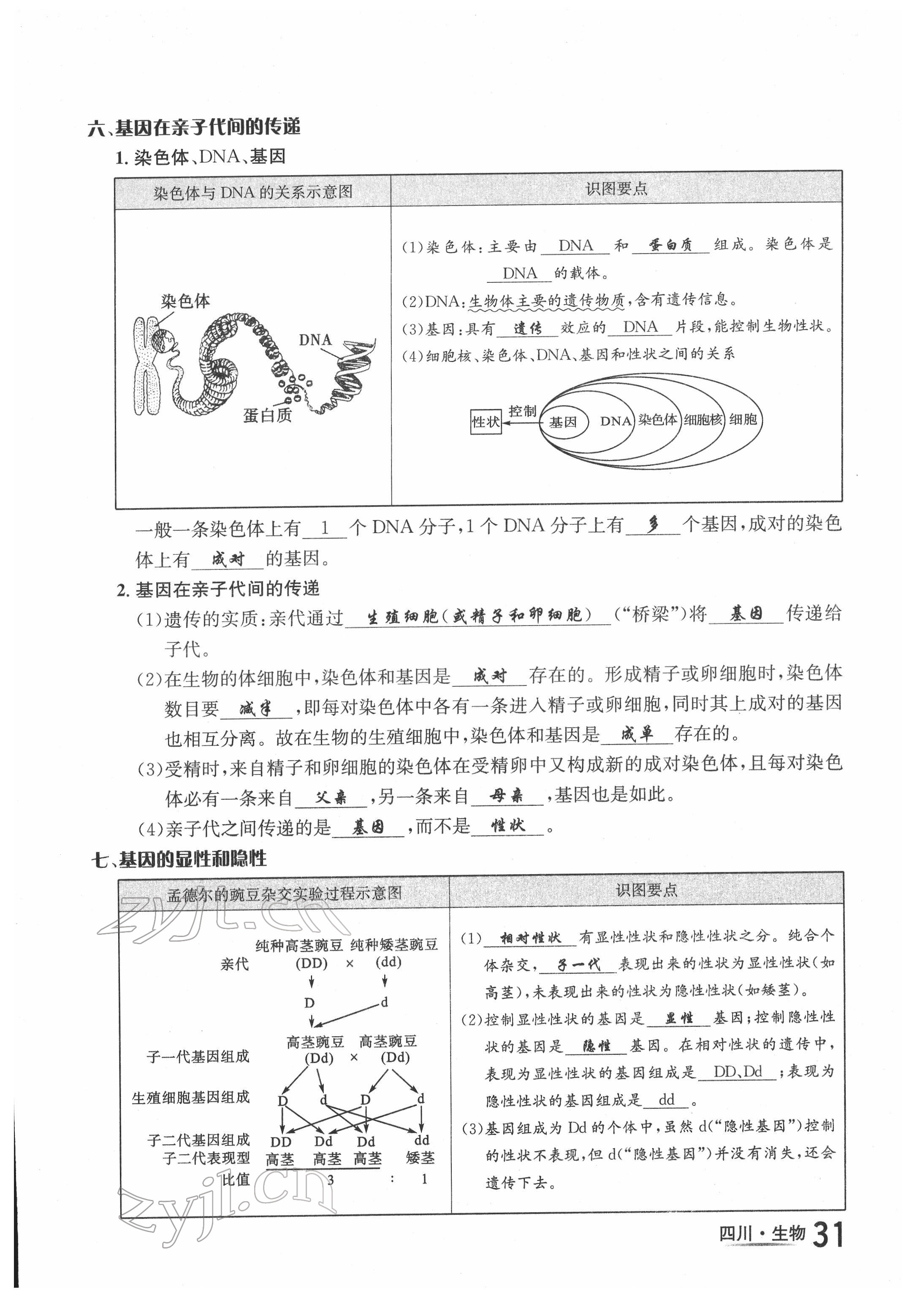 2022年中考2号生物四川专版 第31页