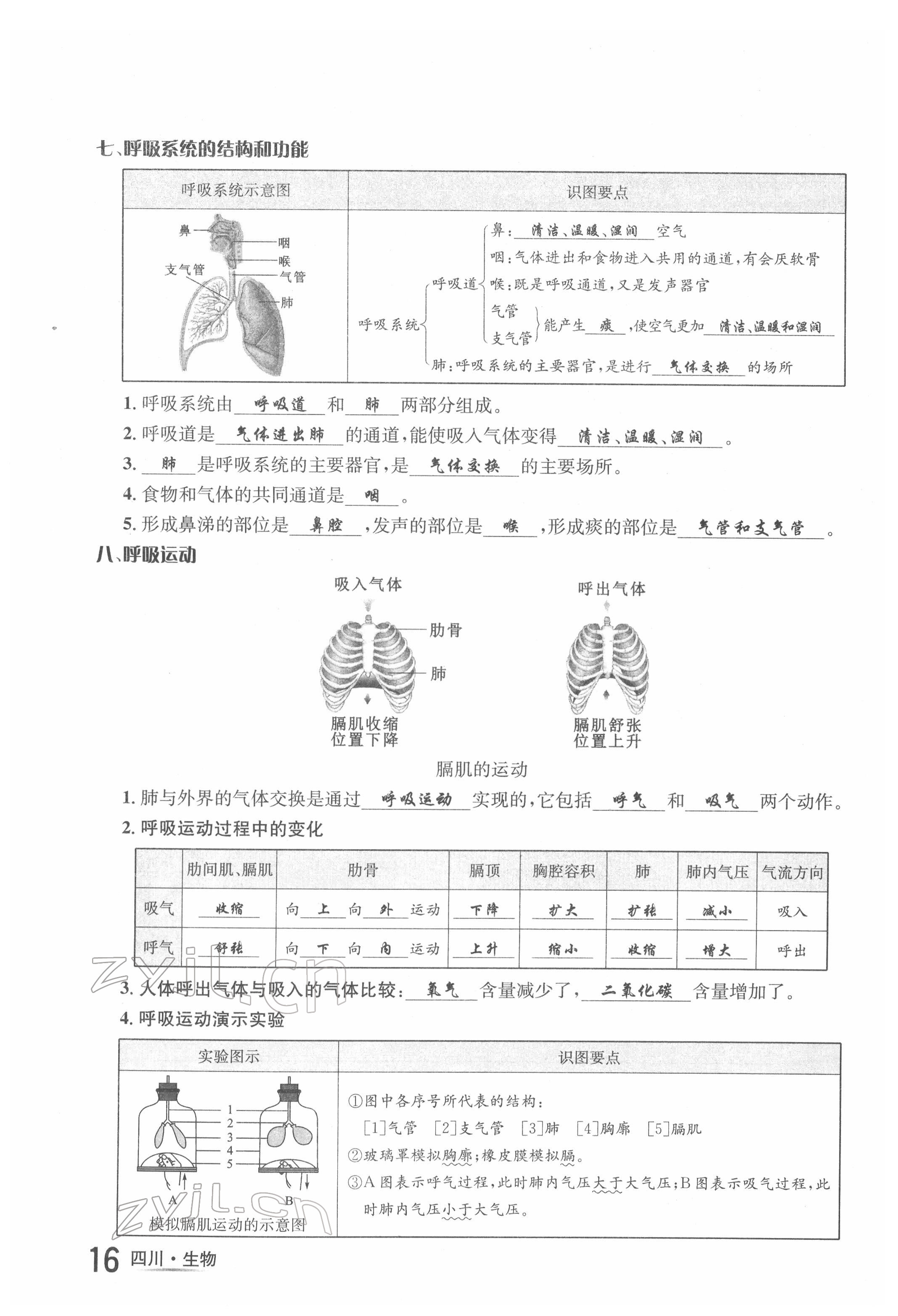 2022年中考2號生物四川專版 第16頁