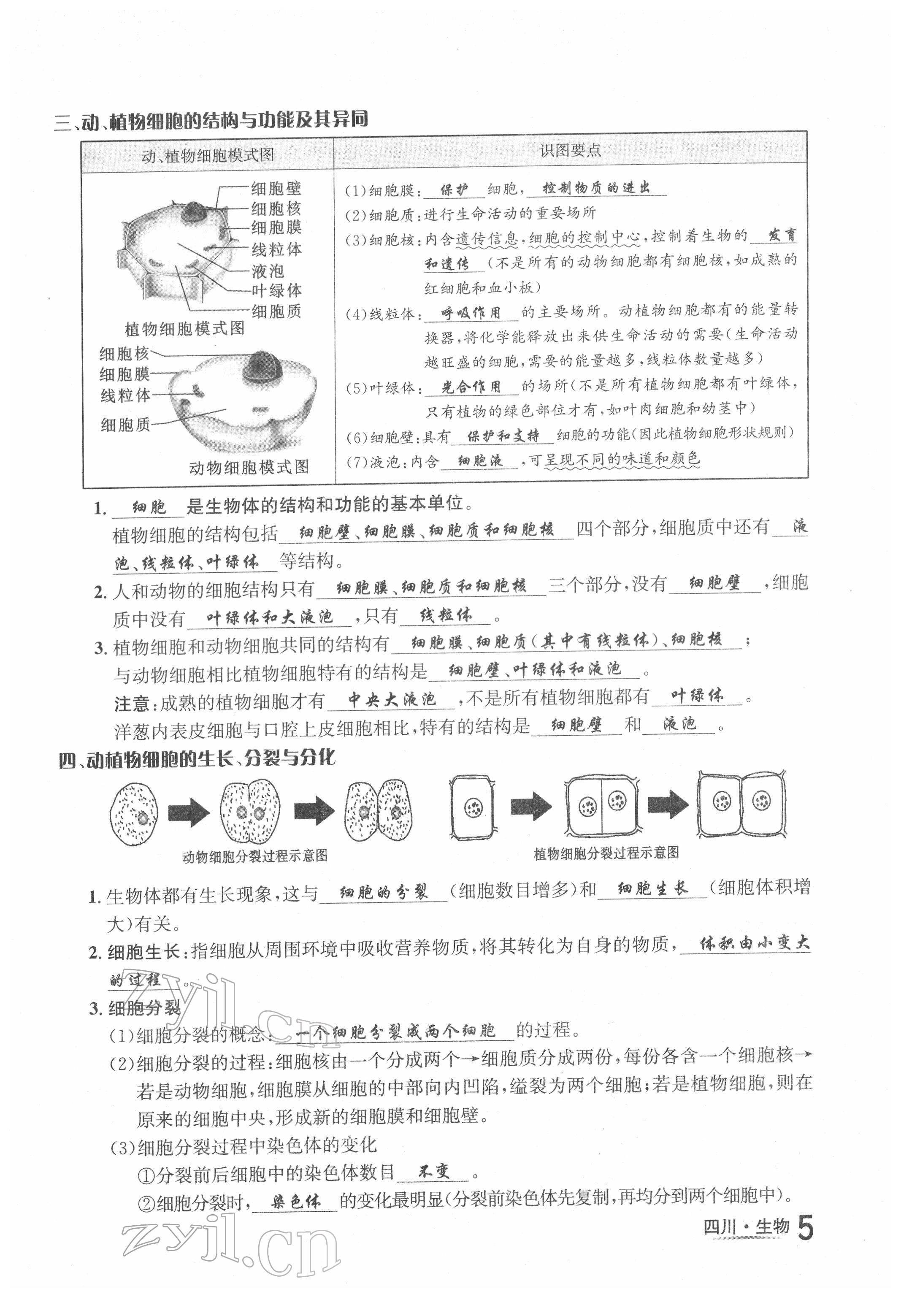 2022年中考2号生物四川专版 第5页