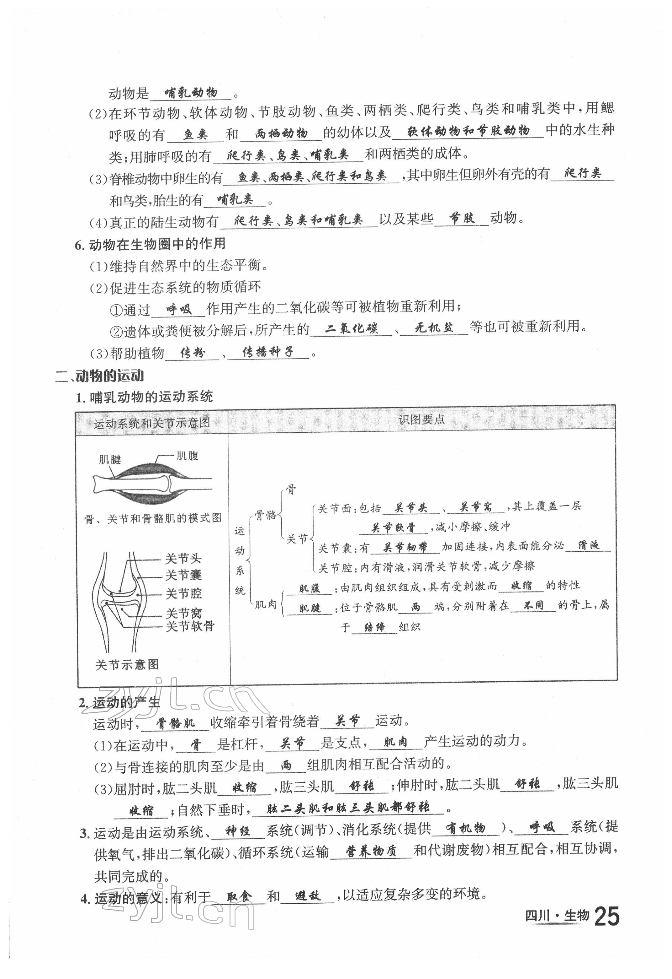 2022年中考2号生物四川专版 第25页