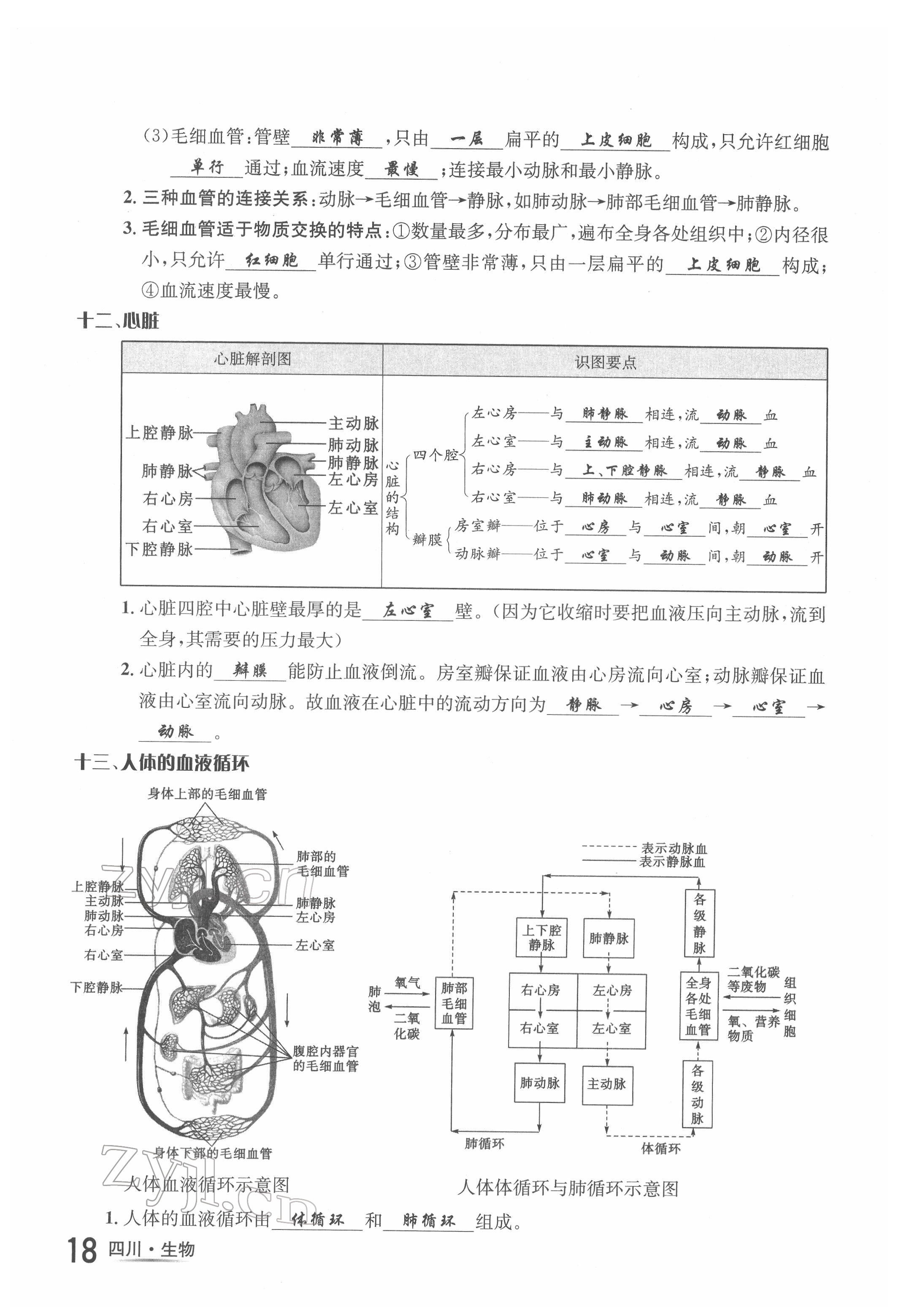 2022年中考2号生物四川专版 第18页