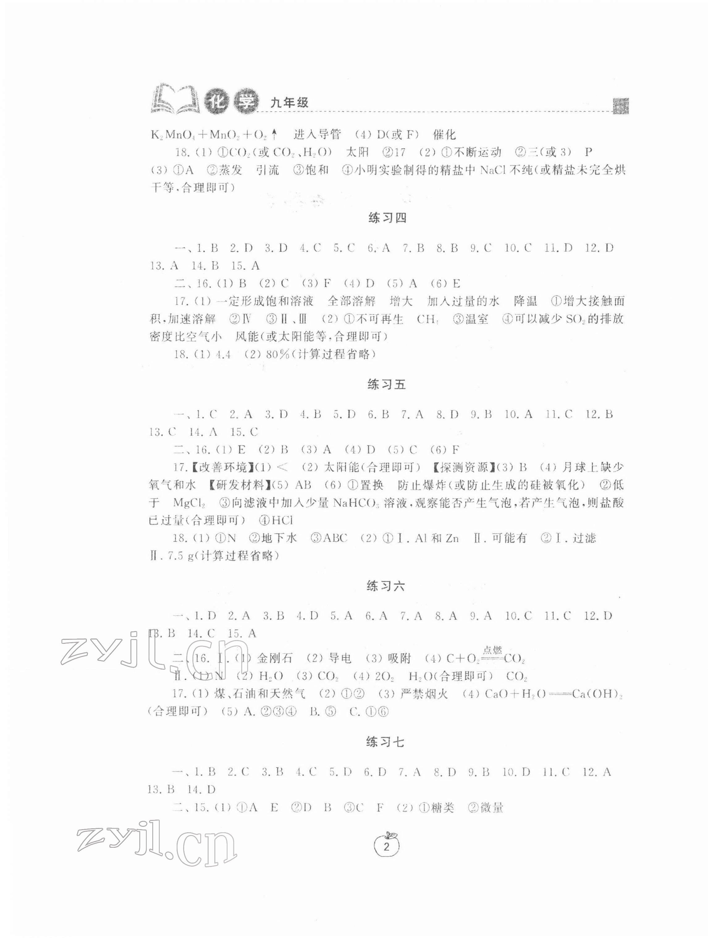2022年寒假学习生活九年级化学提优版 参考答案第2页