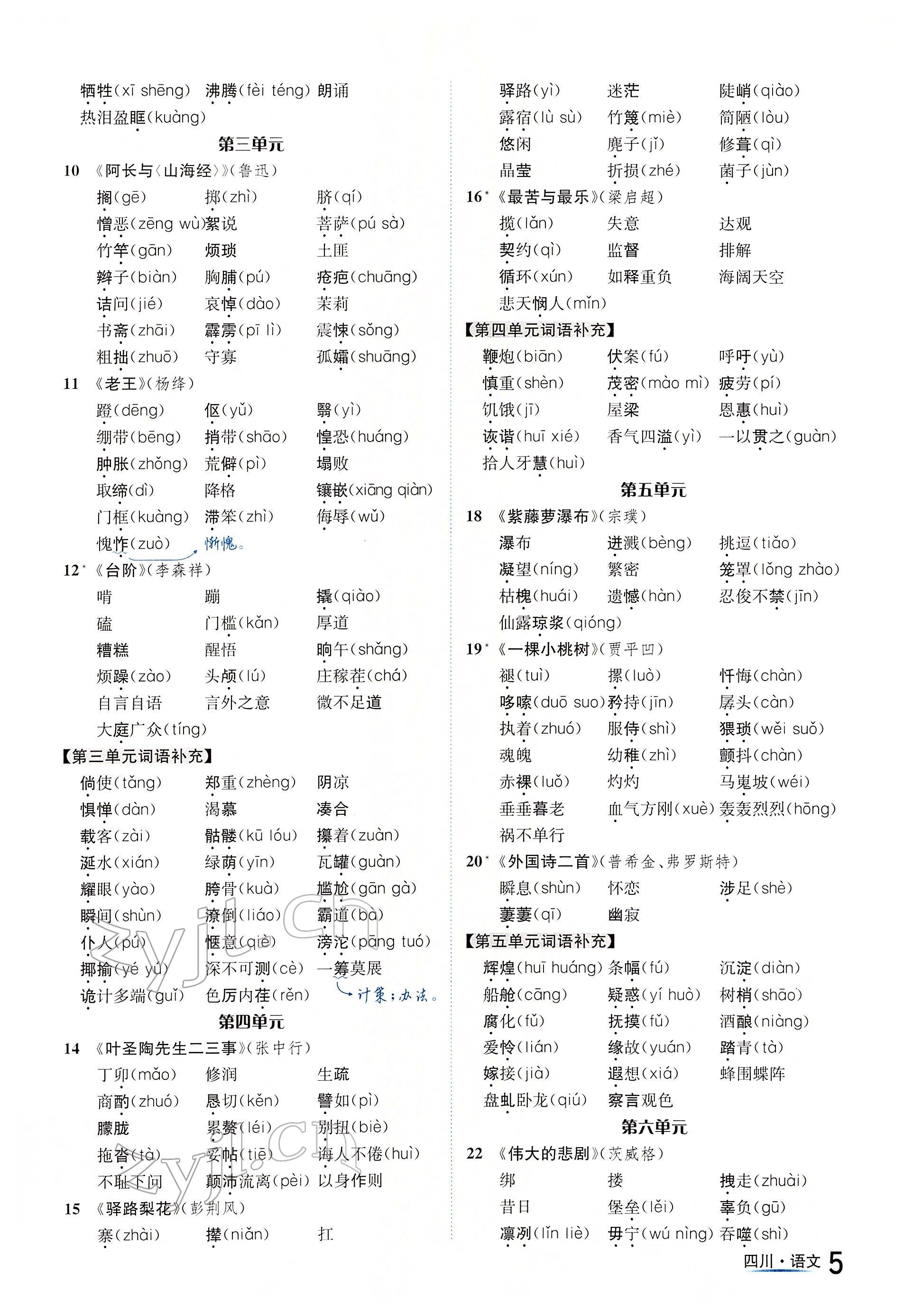 2022年中考2号语文四川专版 参考答案第5页