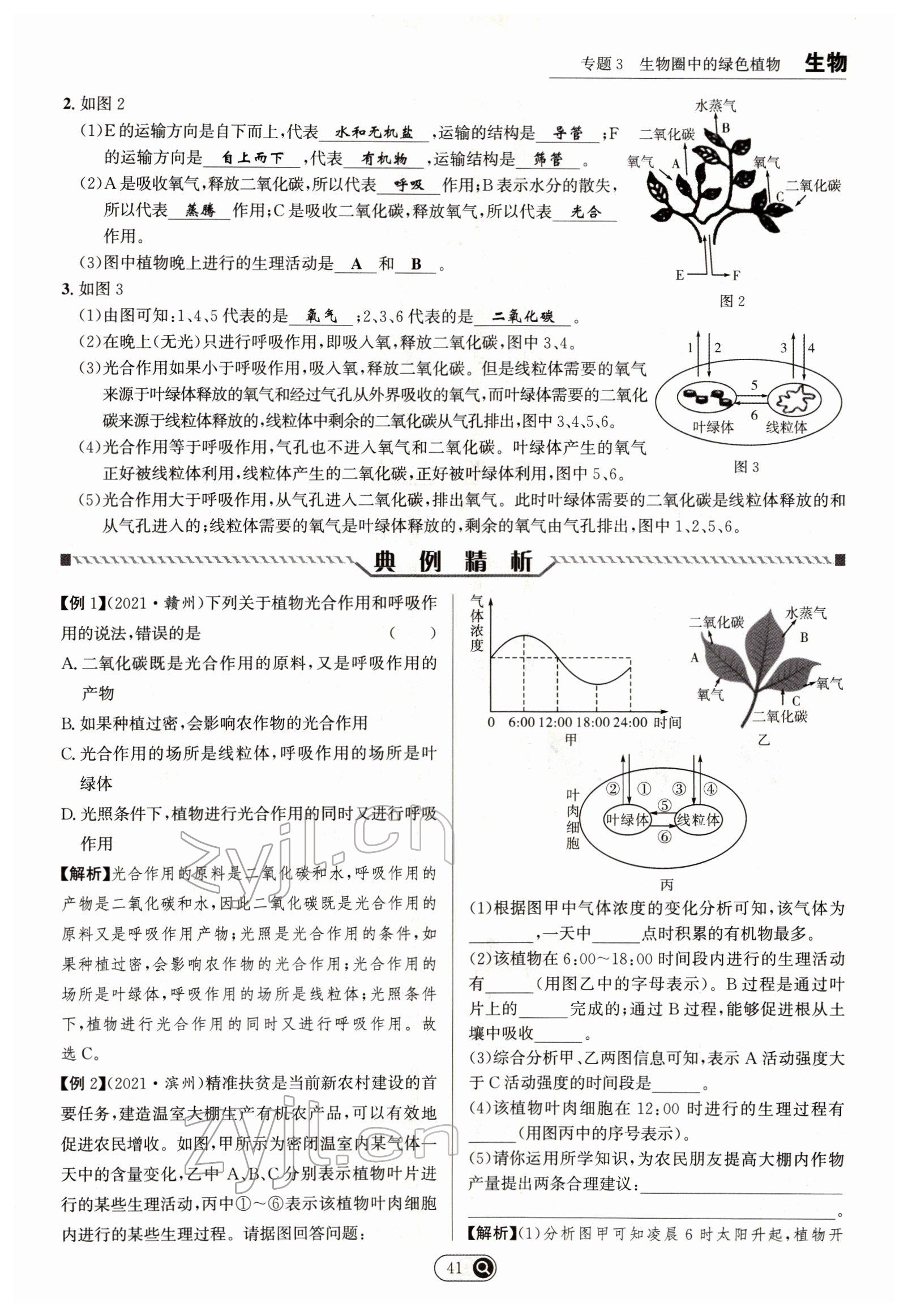 2022年试题突破中考全接触生物四川专版&nbsp;参考答案第41页