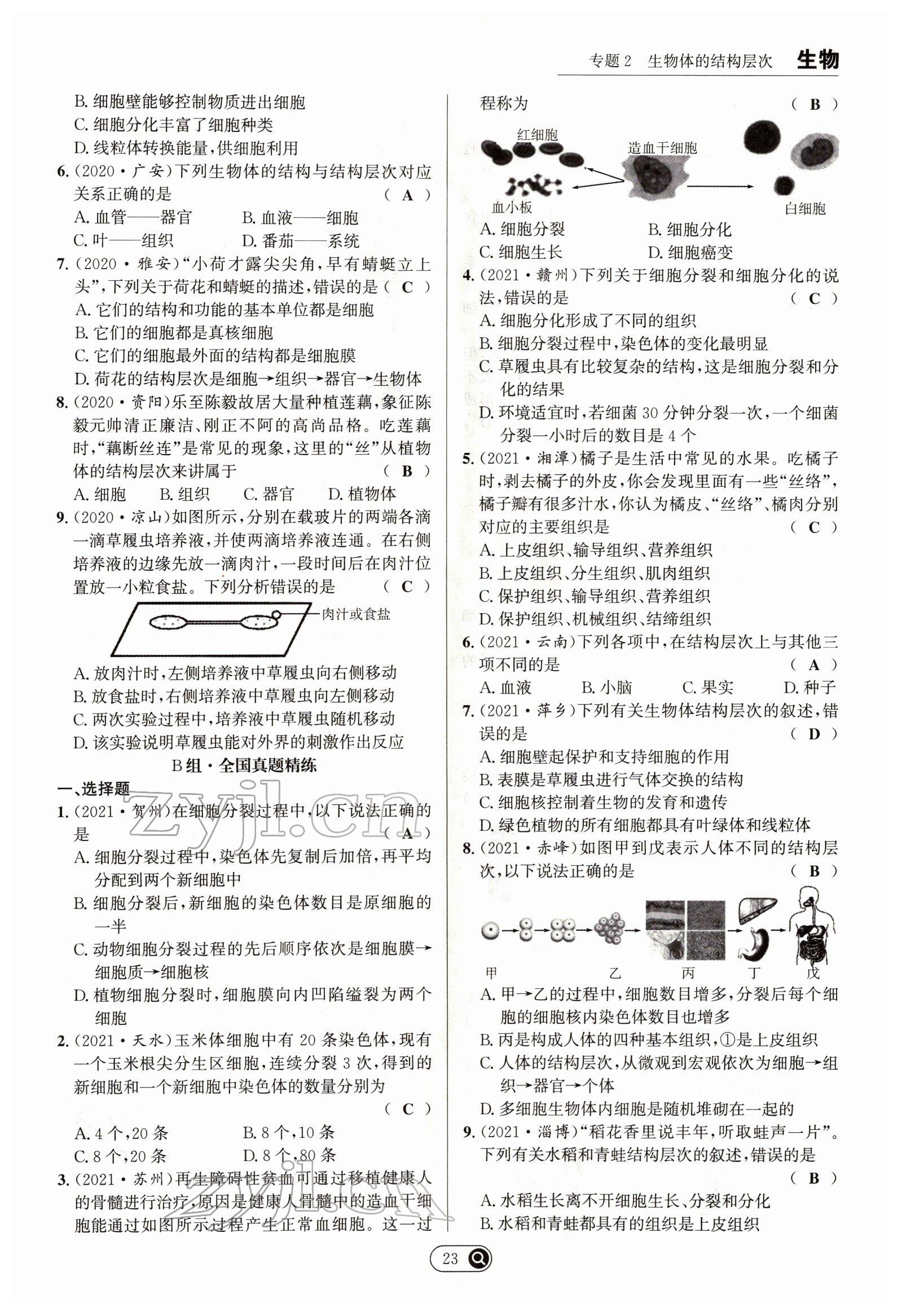 2022年试题突破中考全接触生物四川专版&nbsp;参考答案第23页