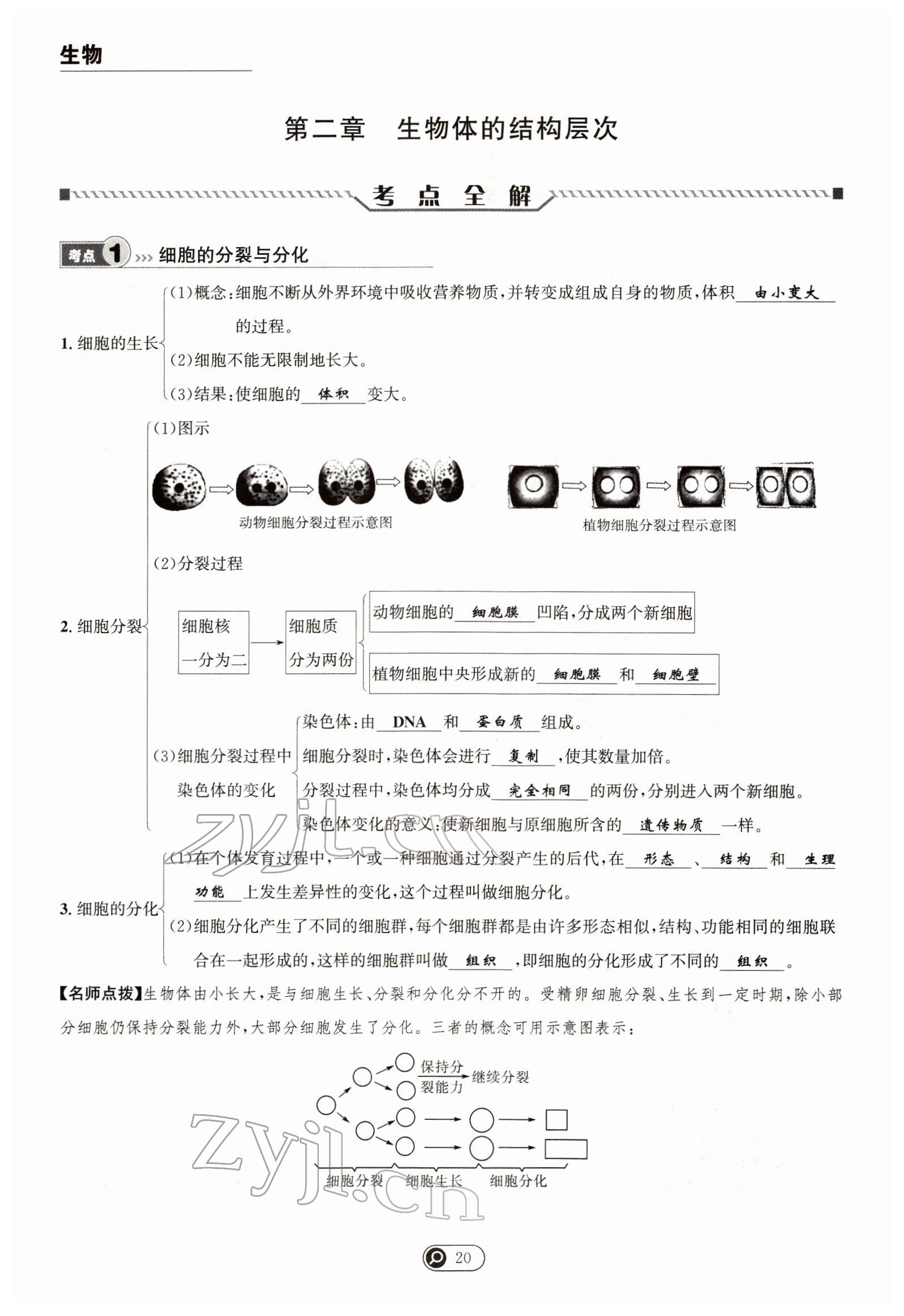 2022年试题突破中考全接触生物四川专版&nbsp;参考答案第20页
