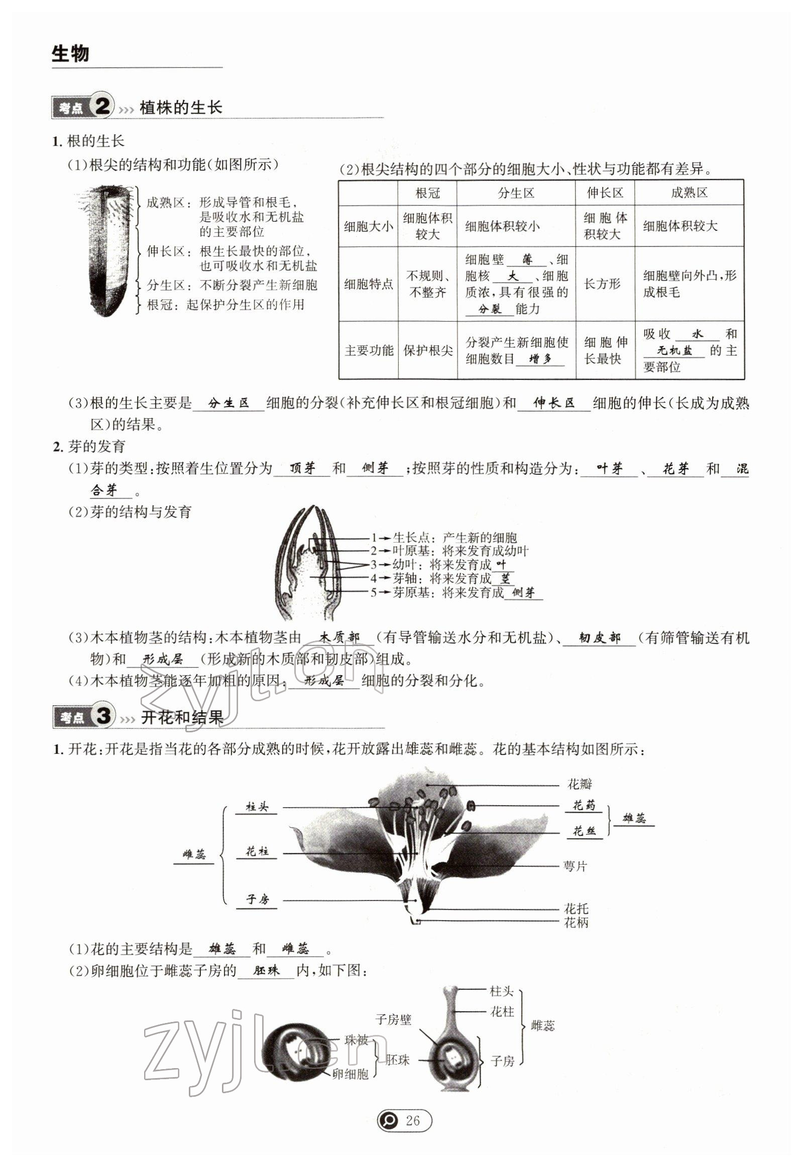 2022年试题突破中考全接触生物四川专版&nbsp;参考答案第26页