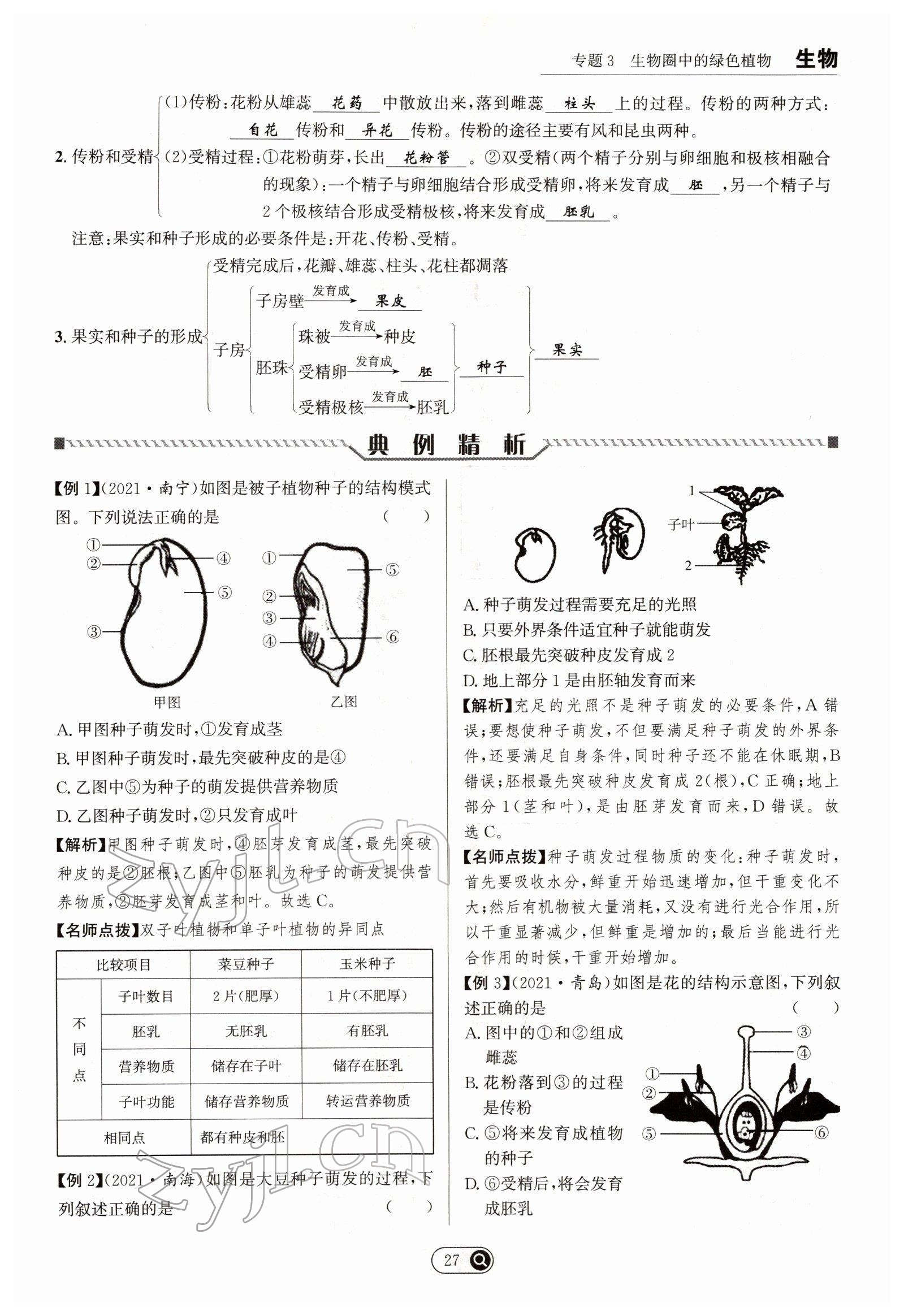 2022年试题突破中考全接触生物四川专版&nbsp;参考答案第27页