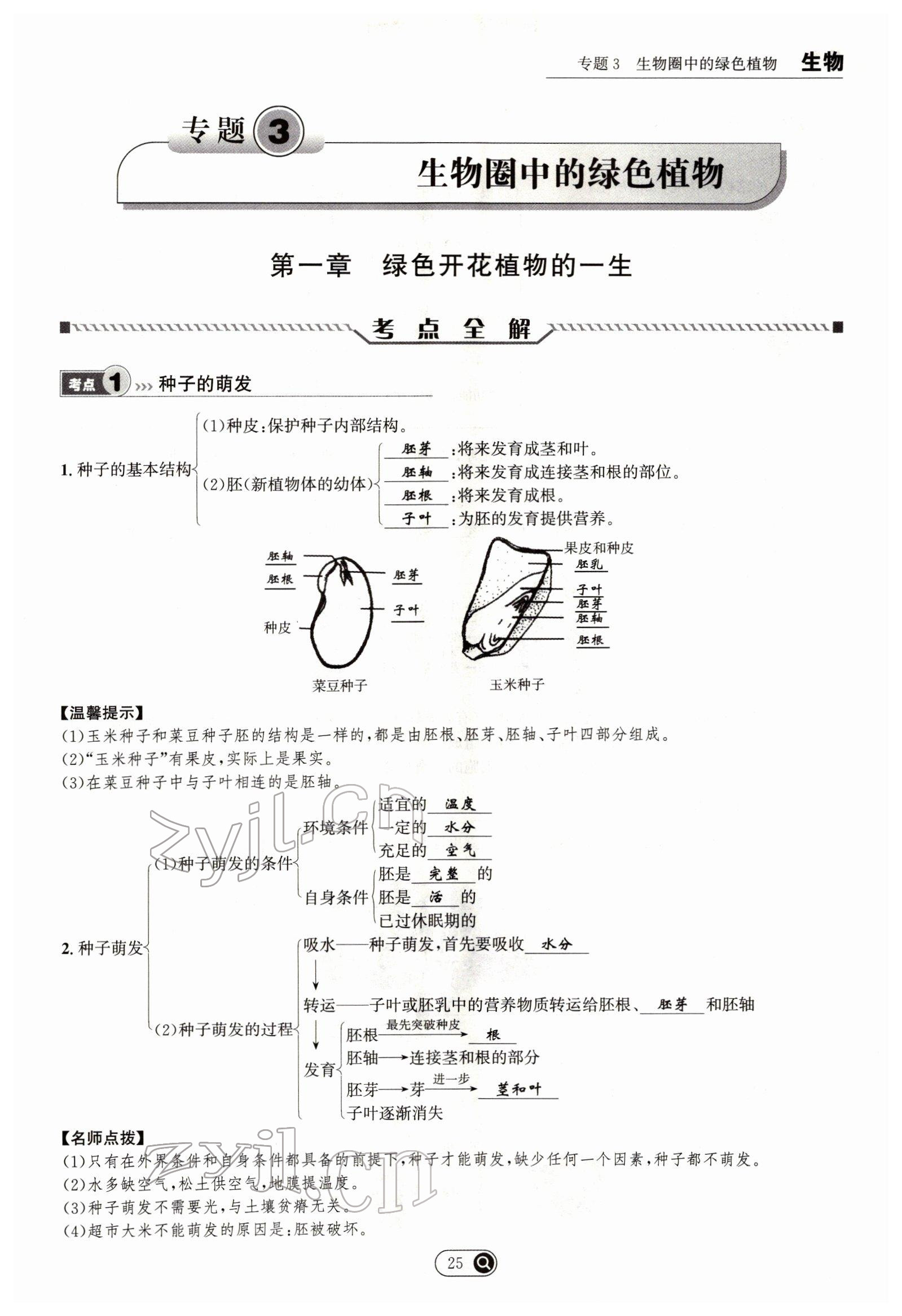 2022年试题突破中考全接触生物四川专版&nbsp;参考答案第25页