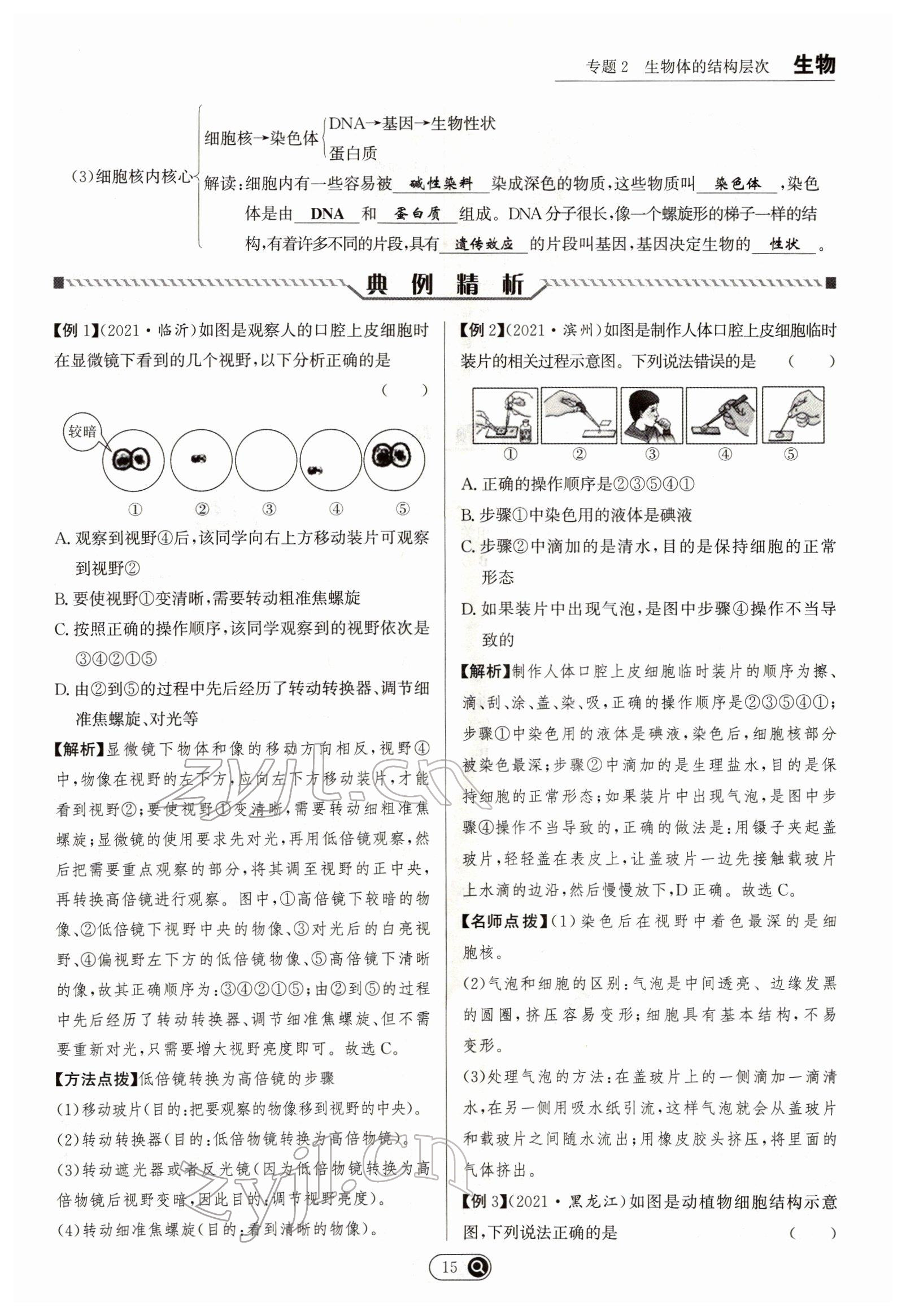 2022年试题突破中考全接触生物四川专版&nbsp;参考答案第15页