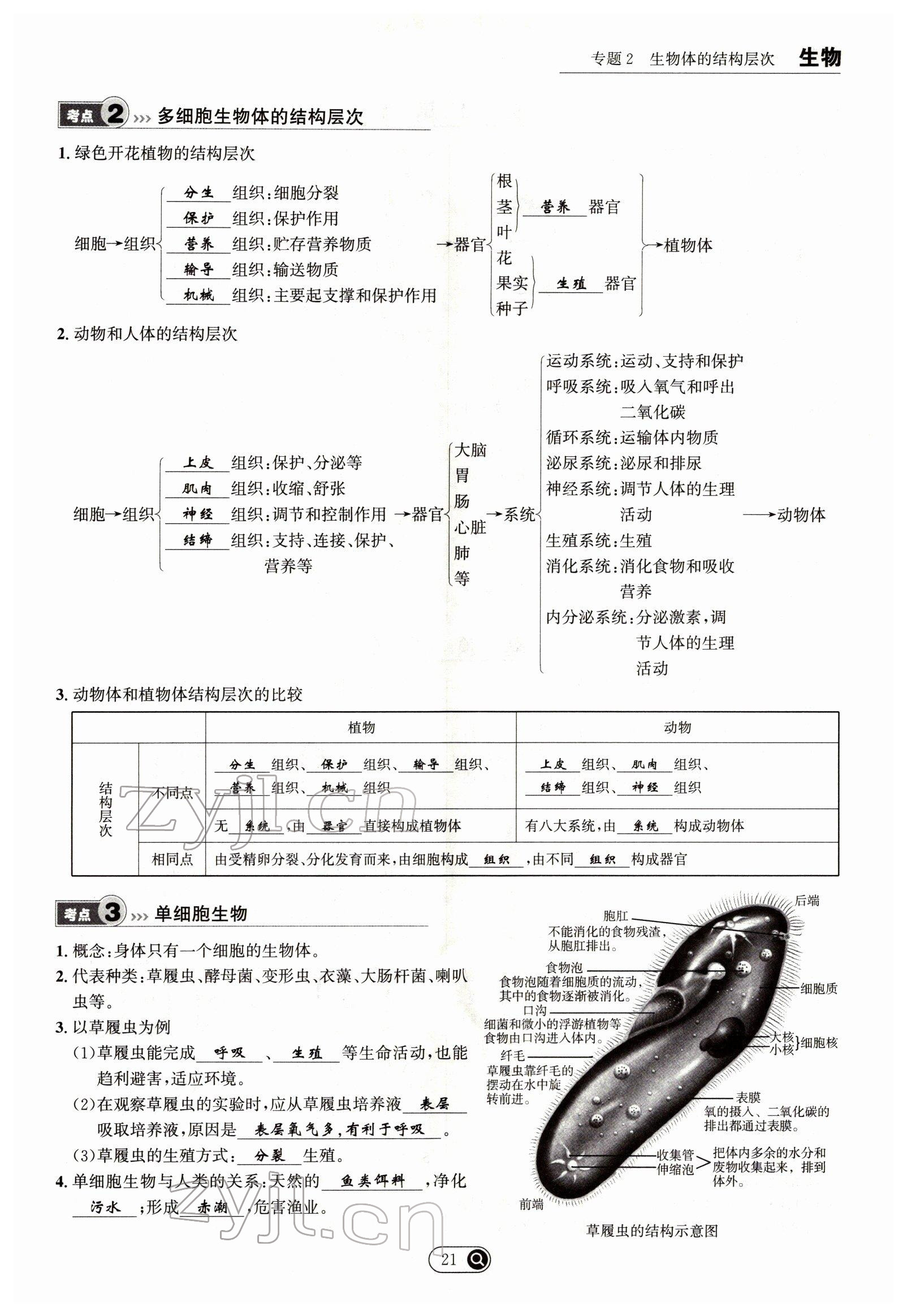 2022年试题突破中考全接触生物四川专版&nbsp;参考答案第21页