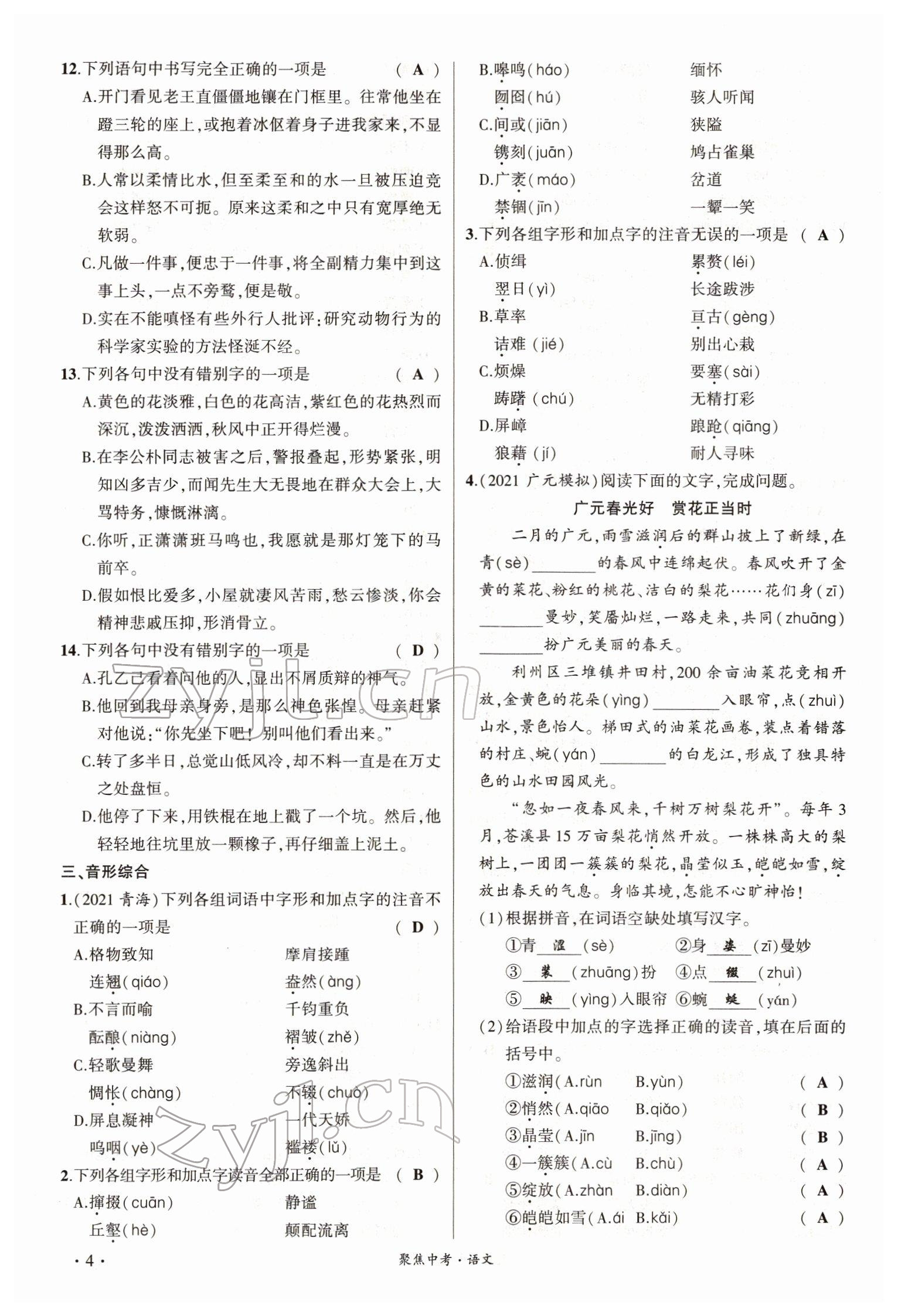 2022年聚焦中考語(yǔ)文四川專版 參考答案第3頁(yè)