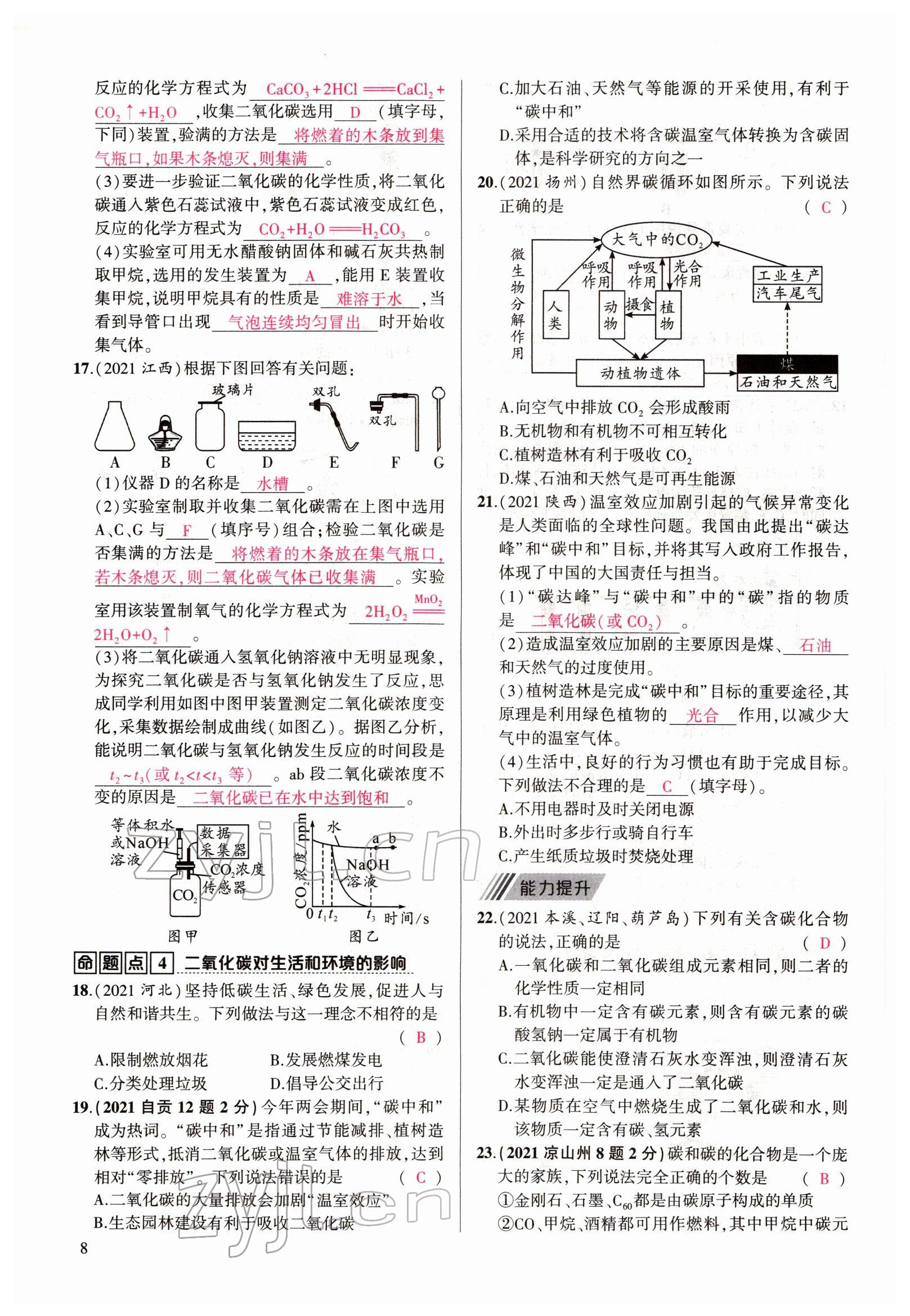 2022年聚焦中考化學(xué)四川專版 參考答案第8頁