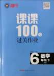 2022年同行課課100分過關(guān)作業(yè)六年級數(shù)學(xué)下冊人教版