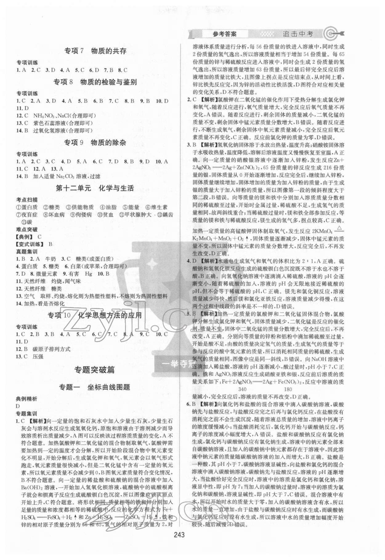 2022年追擊中考化學(xué)江西專版 參考答案第5頁