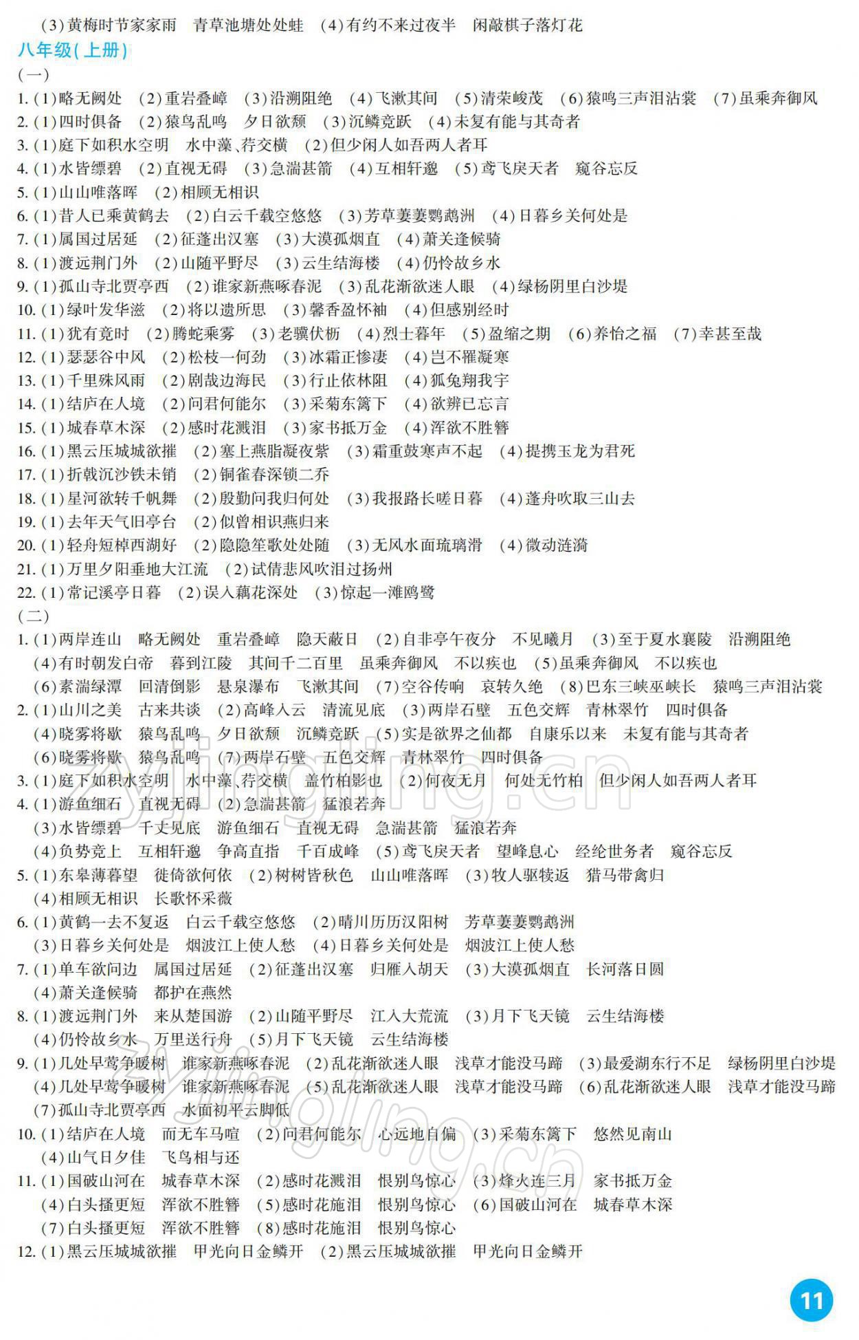 2022年中考总复习新疆文化出版社语文 参考答案第11页