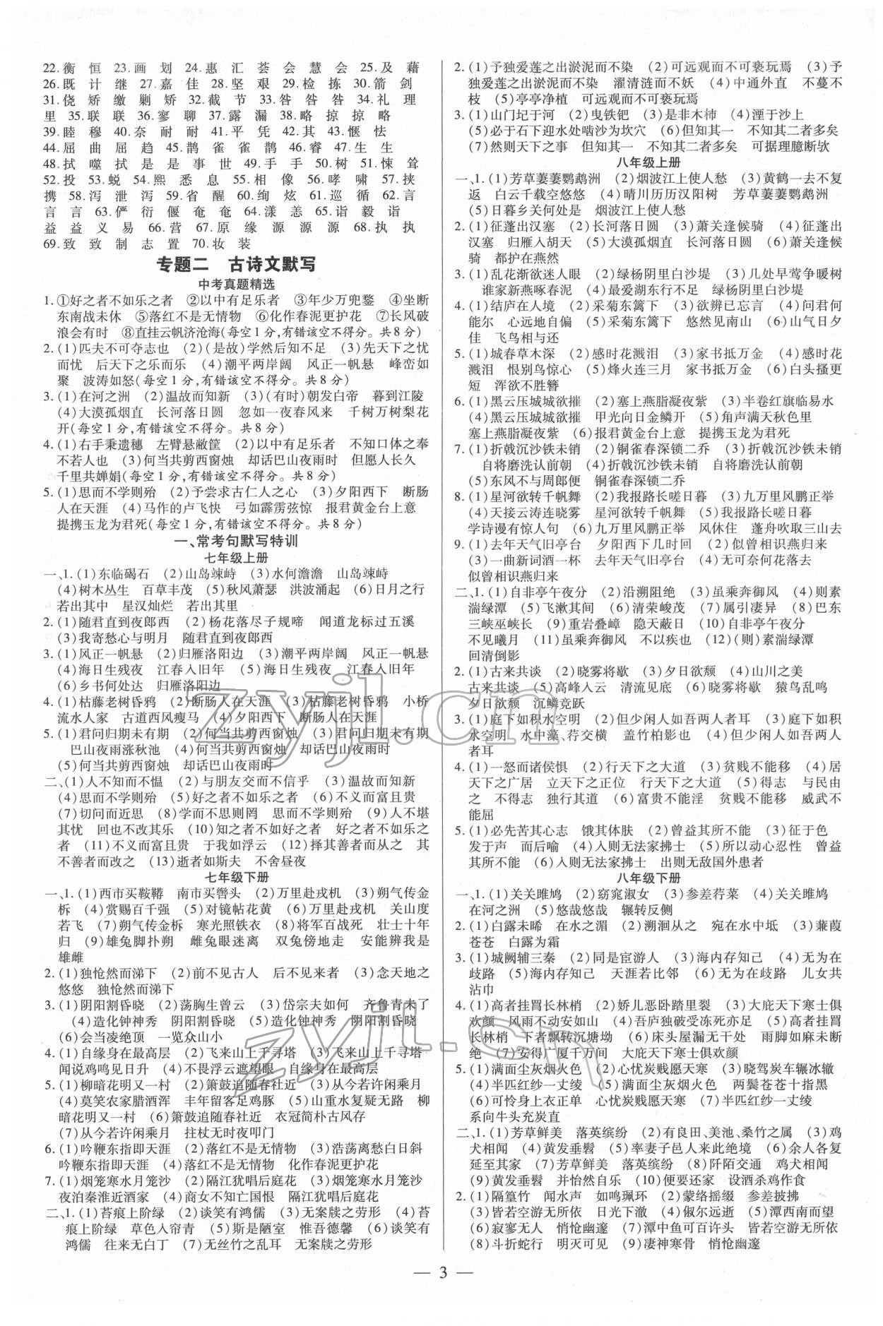 2022年領(lǐng)跑中考語文河南專版 第3頁